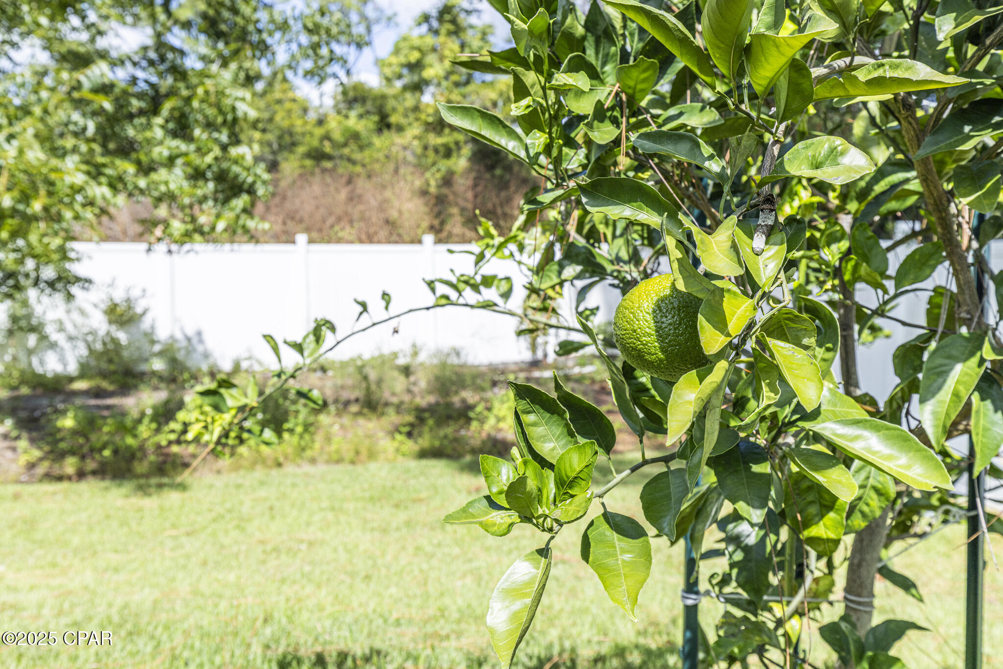 Image 34 For 240 Oxford Avenue