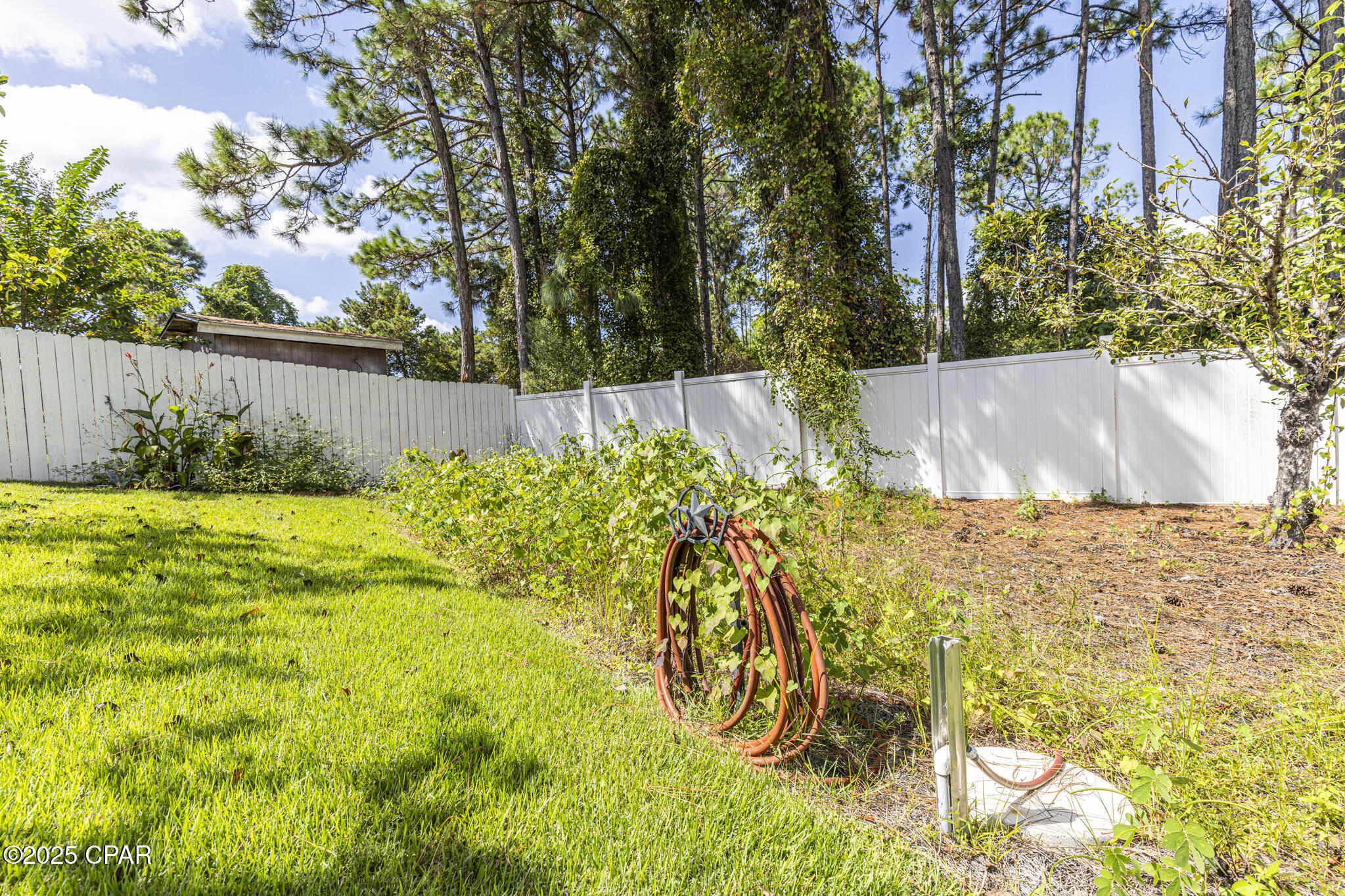 Image 35 For 240 Oxford Avenue