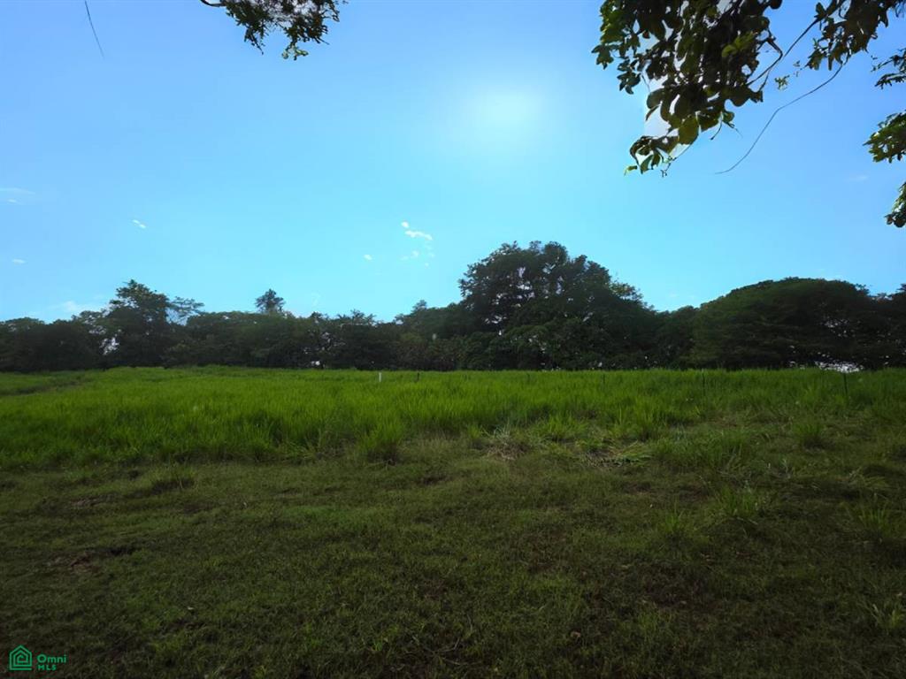 0 bed Land For Sale in Santa Cruz, Guanacaste - 1