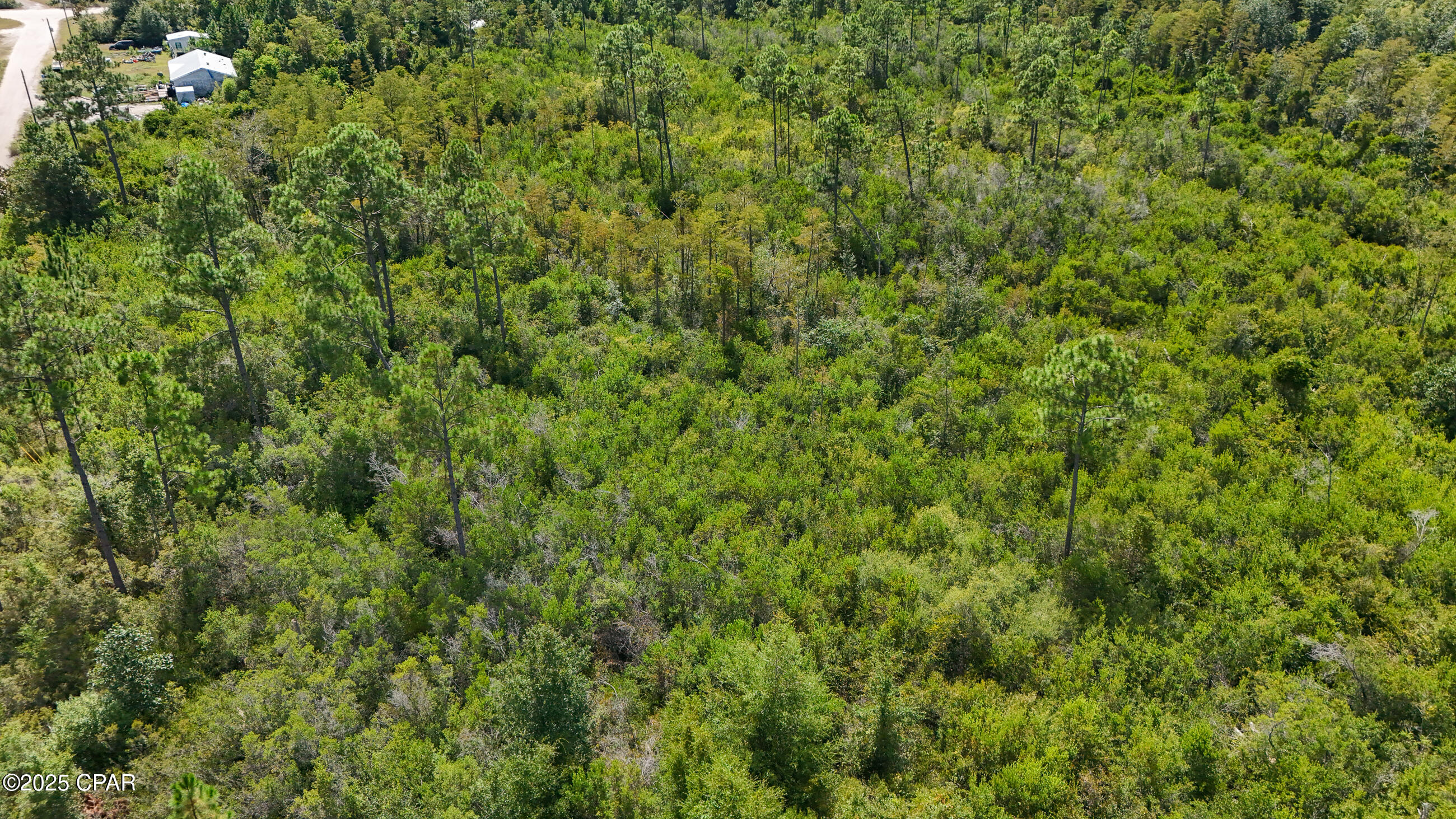 Image 11 For 9129 Ibis Lane