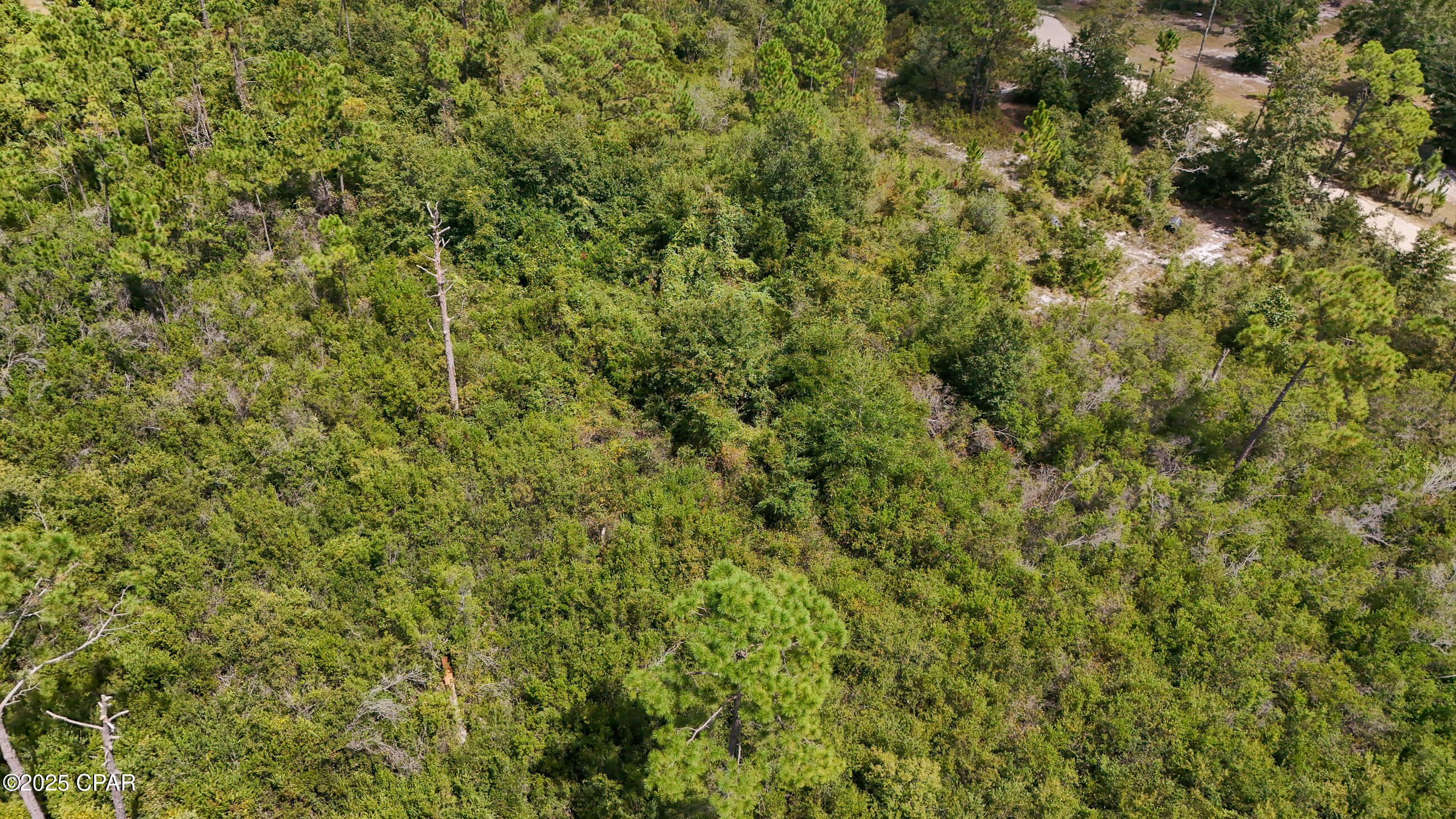 Image 9 For 9129 Ibis Lane