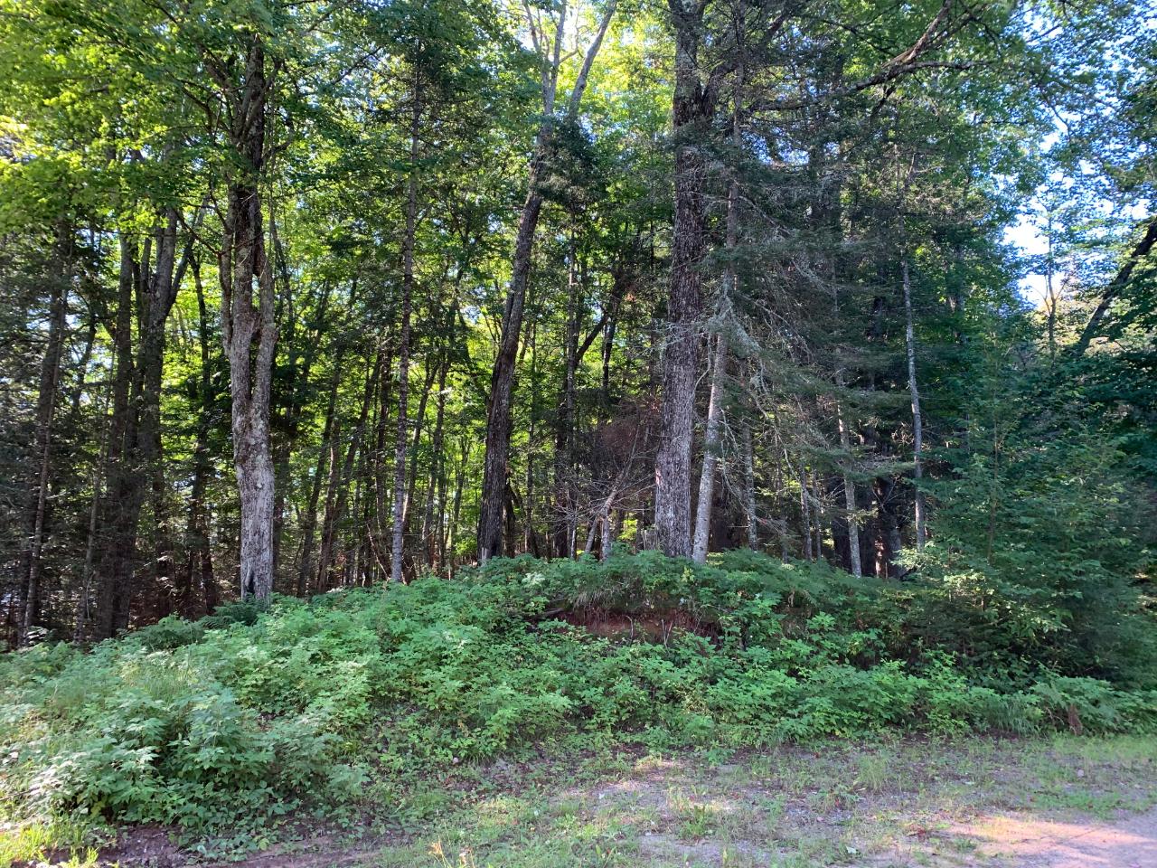 Landing Lake Property Off Of Knuth Ln Photo 7