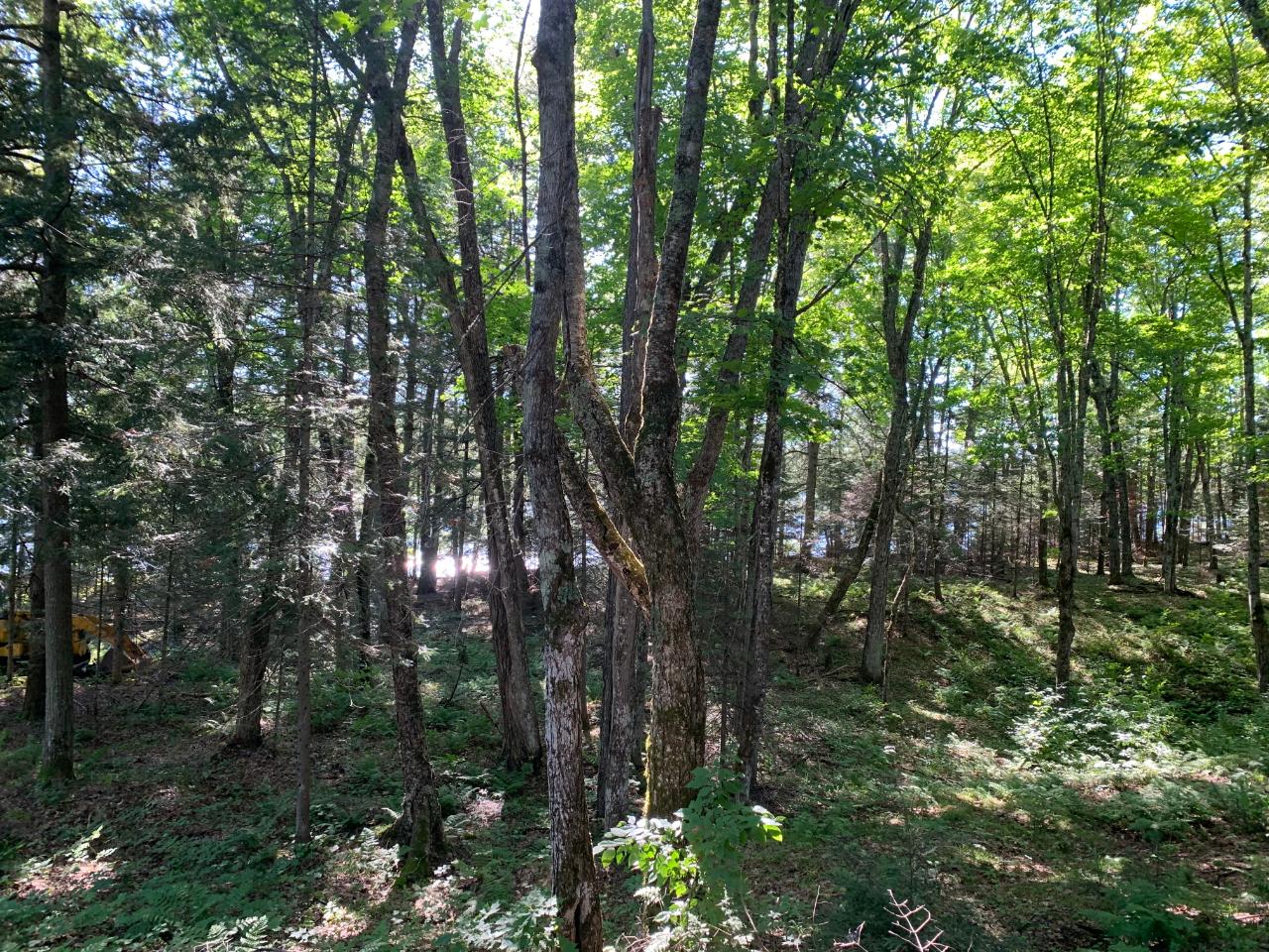 Landing Lake Property Off Of Knuth Ln Photo 8