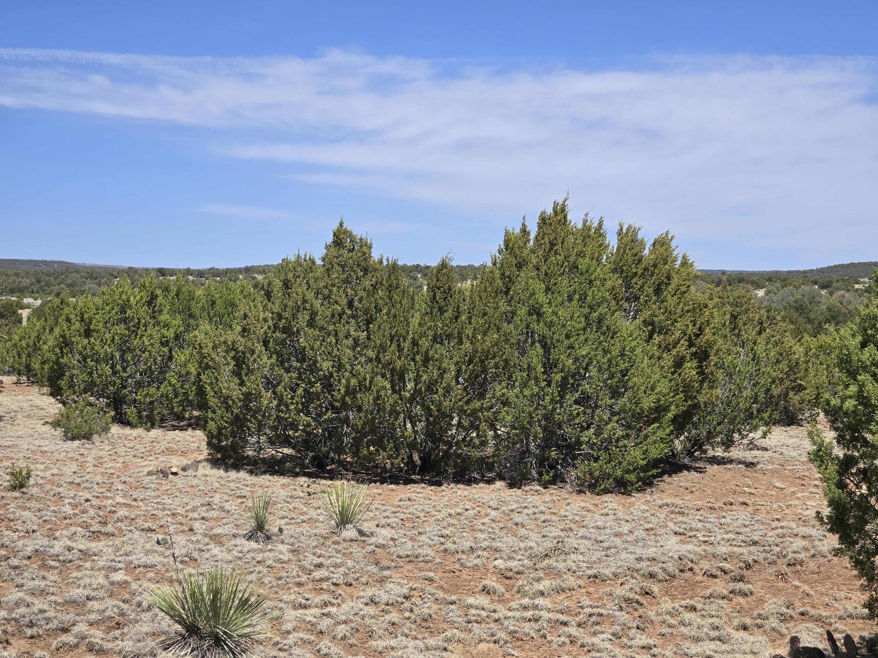 Homes for sale in Tajique, NM | 0 Applewood Lot 13 Blk D Dr #13, Tajique, NM 87016 | MLS# 1092545