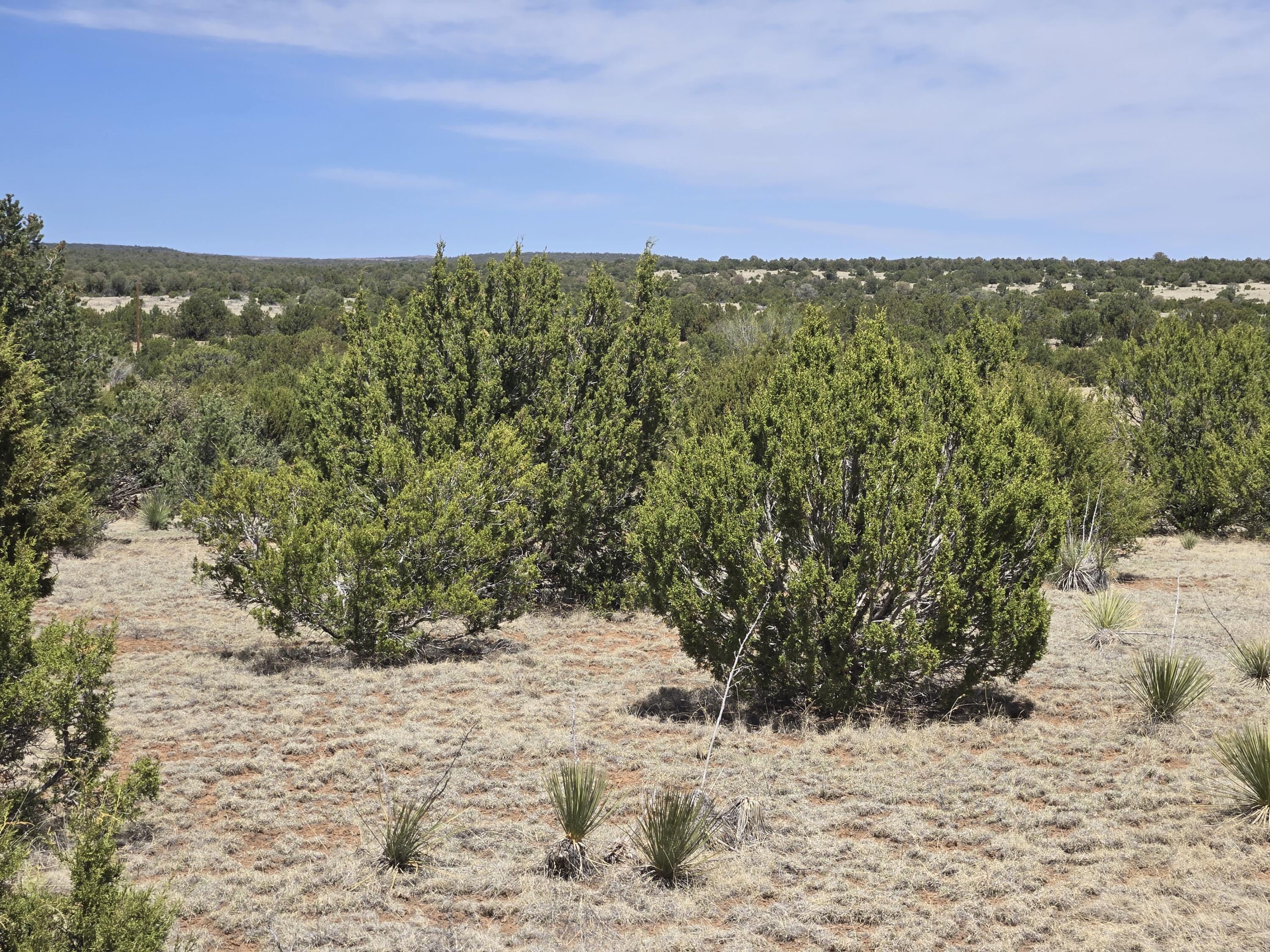 Homes for sale in Tajique, NM | 0 Applewood Lot 13 Blk D Dr #13, Tajique, NM 87016 | MLS# 1092545