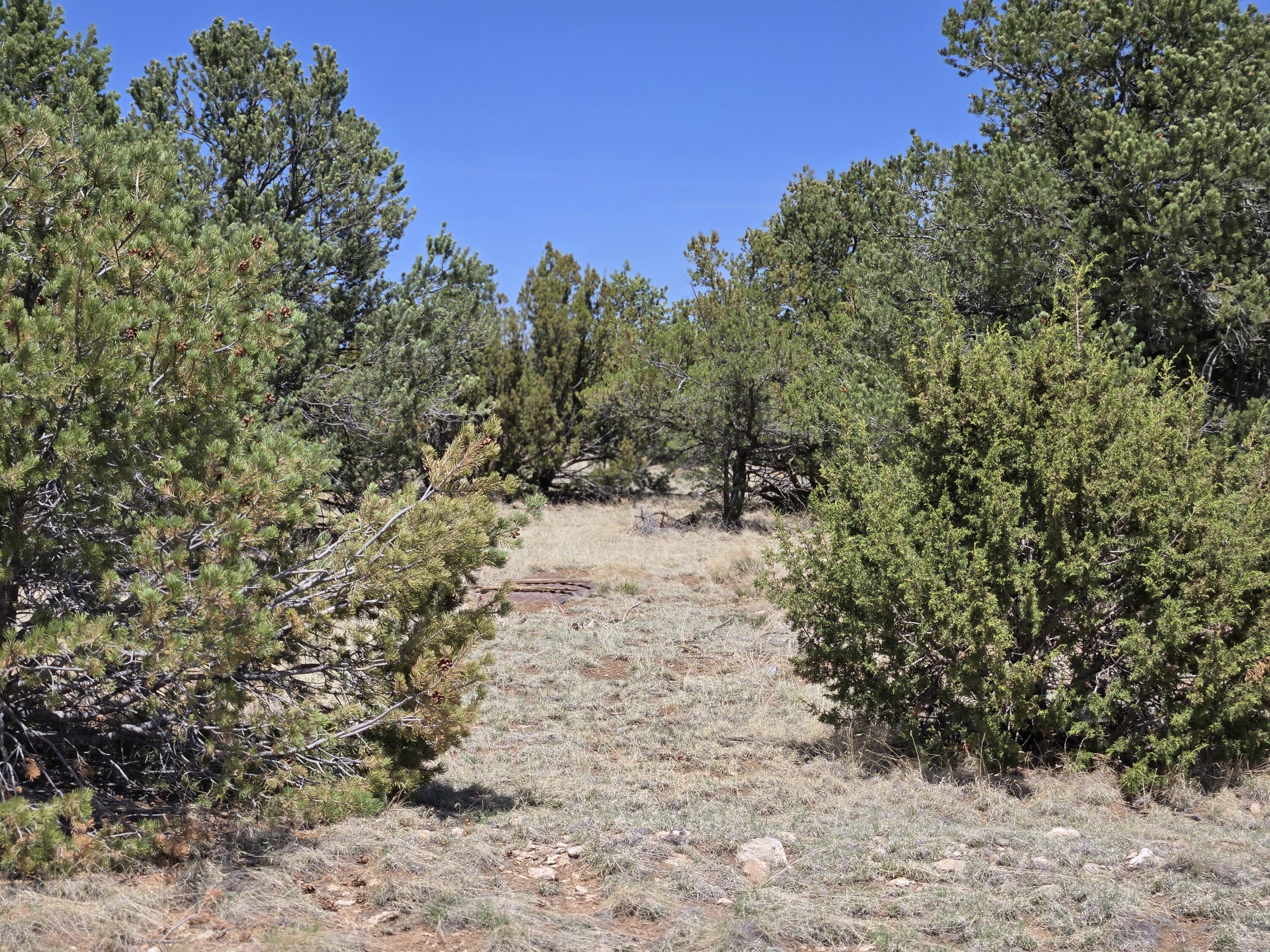 Homes for sale in Tajique, NM | 0 Applewood Lot 13 Blk D Dr #13, Tajique, NM 87016 | MLS# 1092545