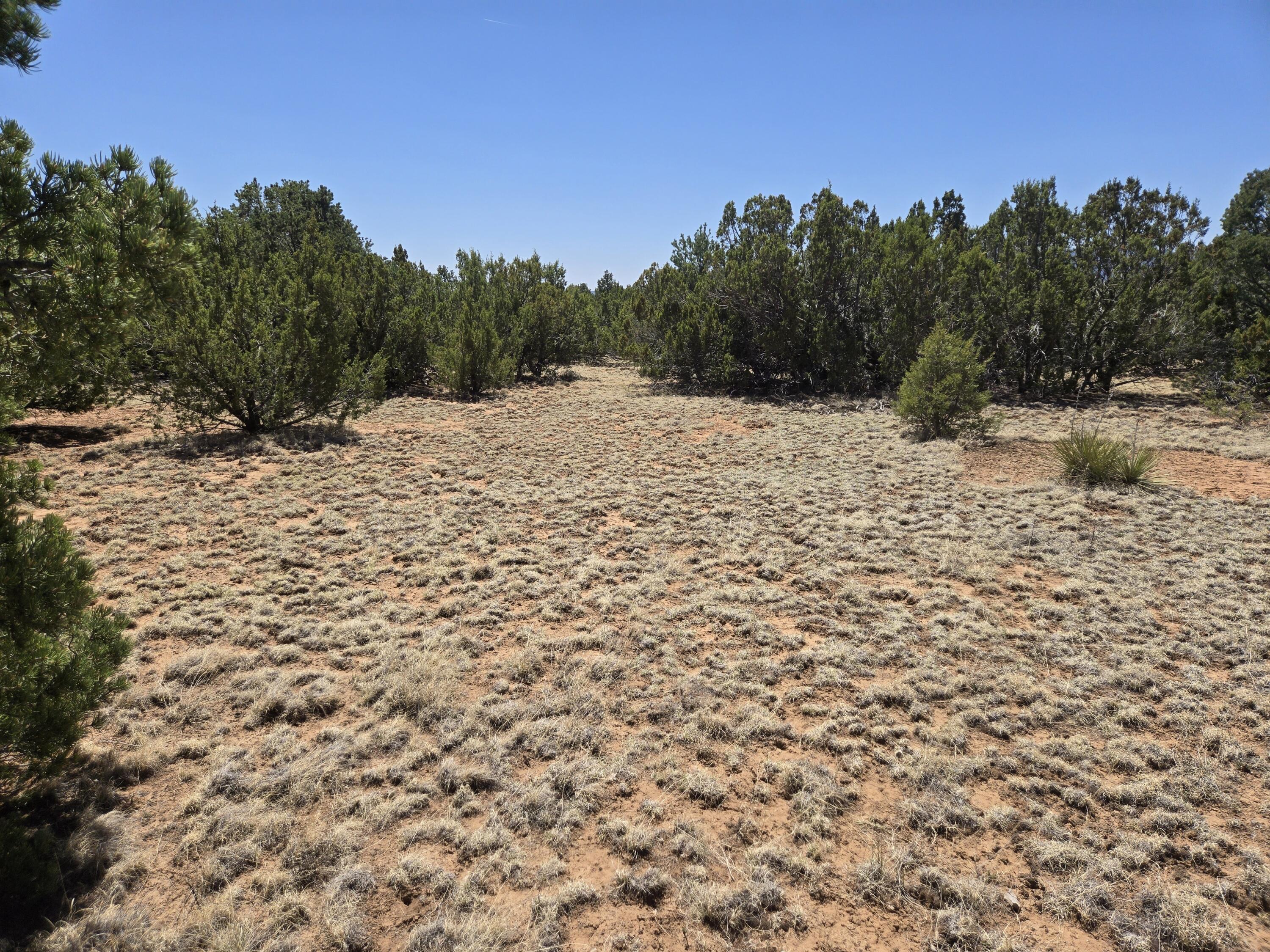 Homes for sale in Tajique, NM | 0 Rosewood Dr Lot 12, Blk D #12, Tajique, NM 87016 | MLS# 1092547