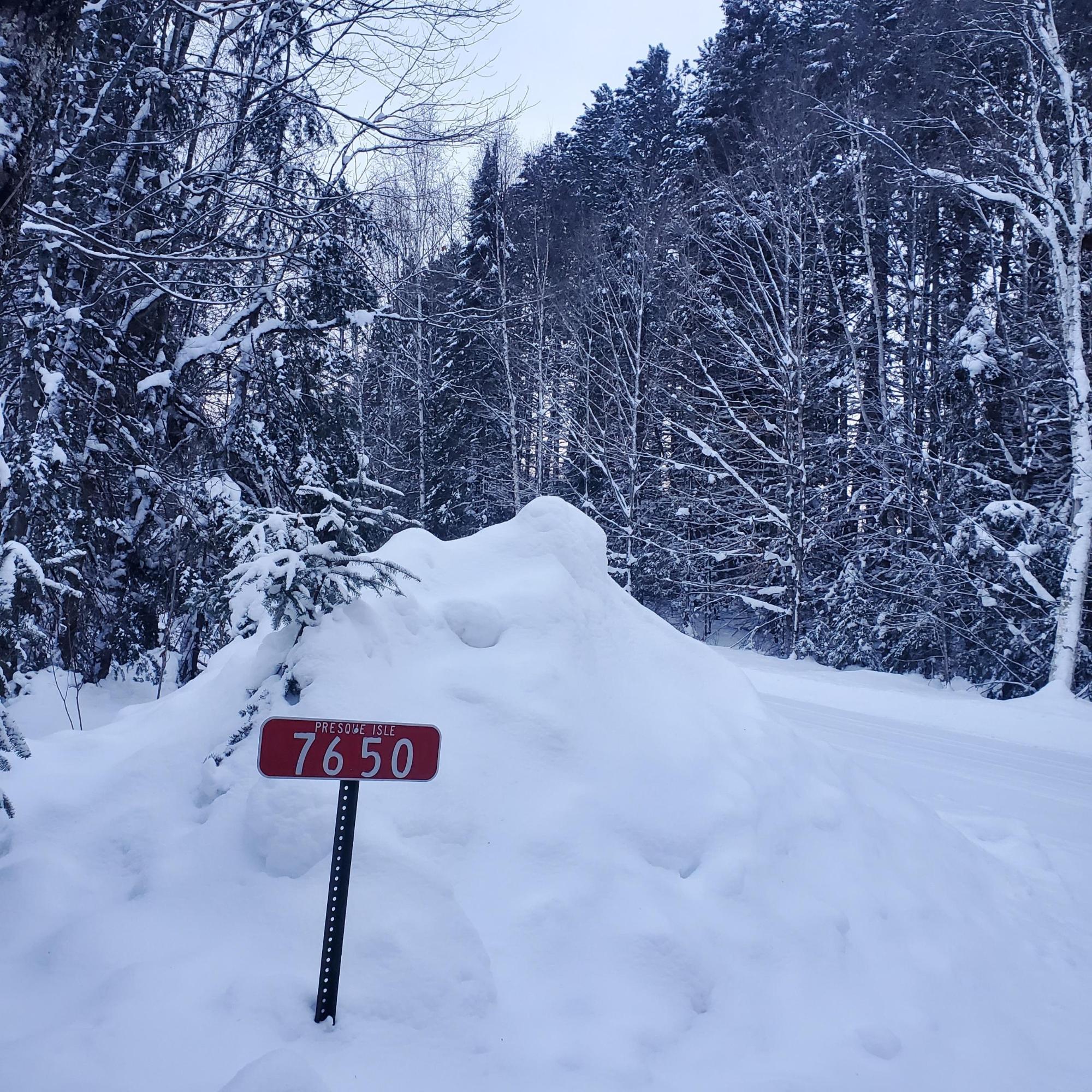 Annabelle Lake Property 7650 Annabelle Lake Rd Photo 5