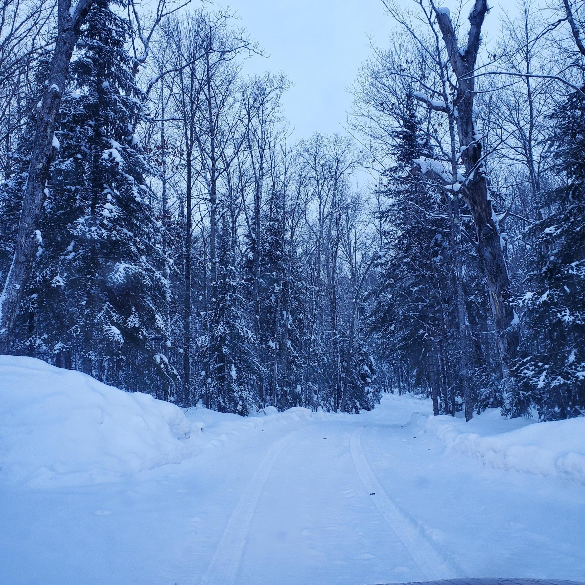 Annabelle Lake Property 7650 Annabelle Lake Rd Photo 6