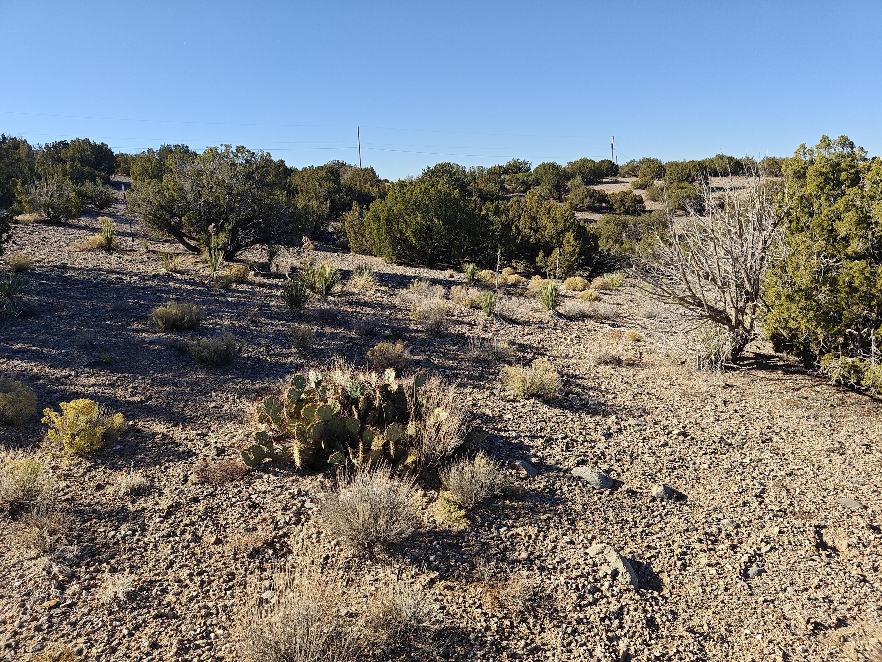 Homes for sale in Placitas, NM | 74 Desert Mountain Rd, Placitas, NM 87043 | MLS# 1092583