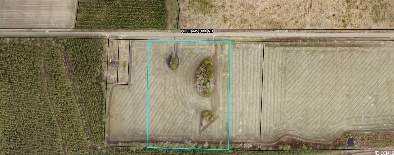 TBD2 Williams Hill Rd. Hemingway, SC 29554