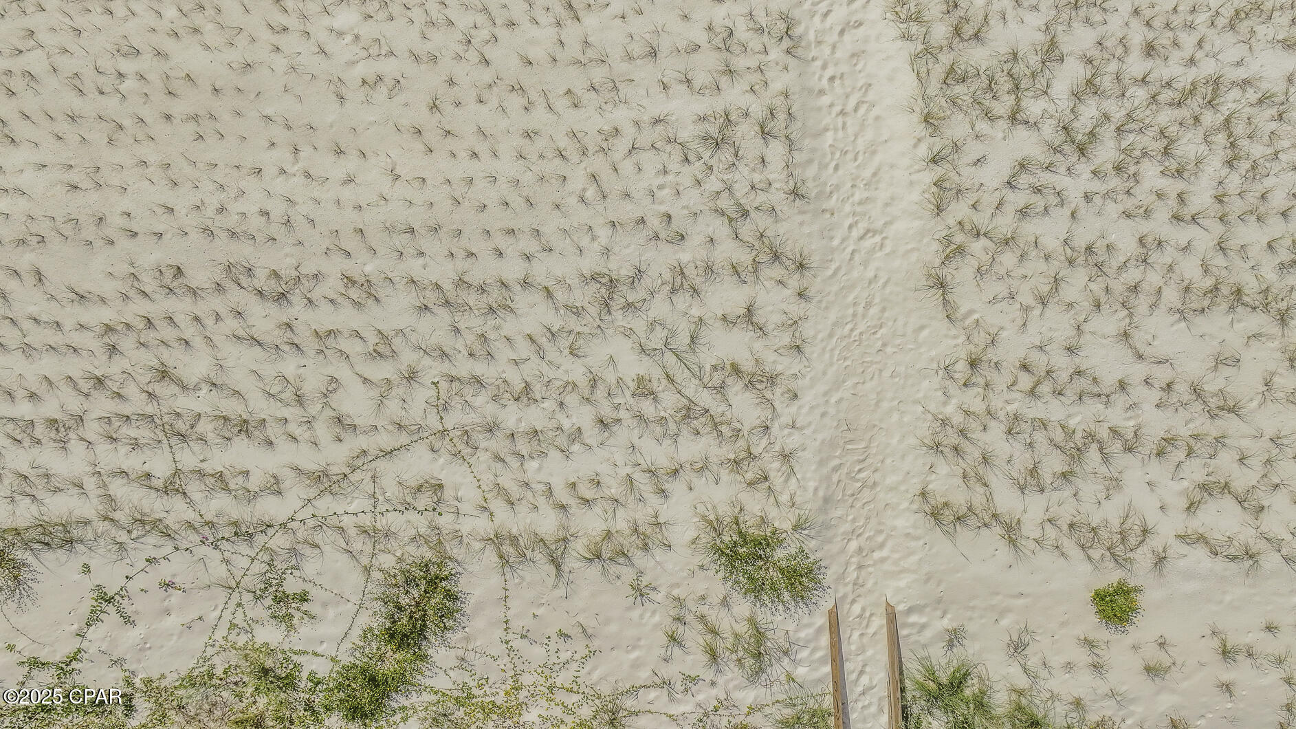 Image 48 For 1001 Highway 98