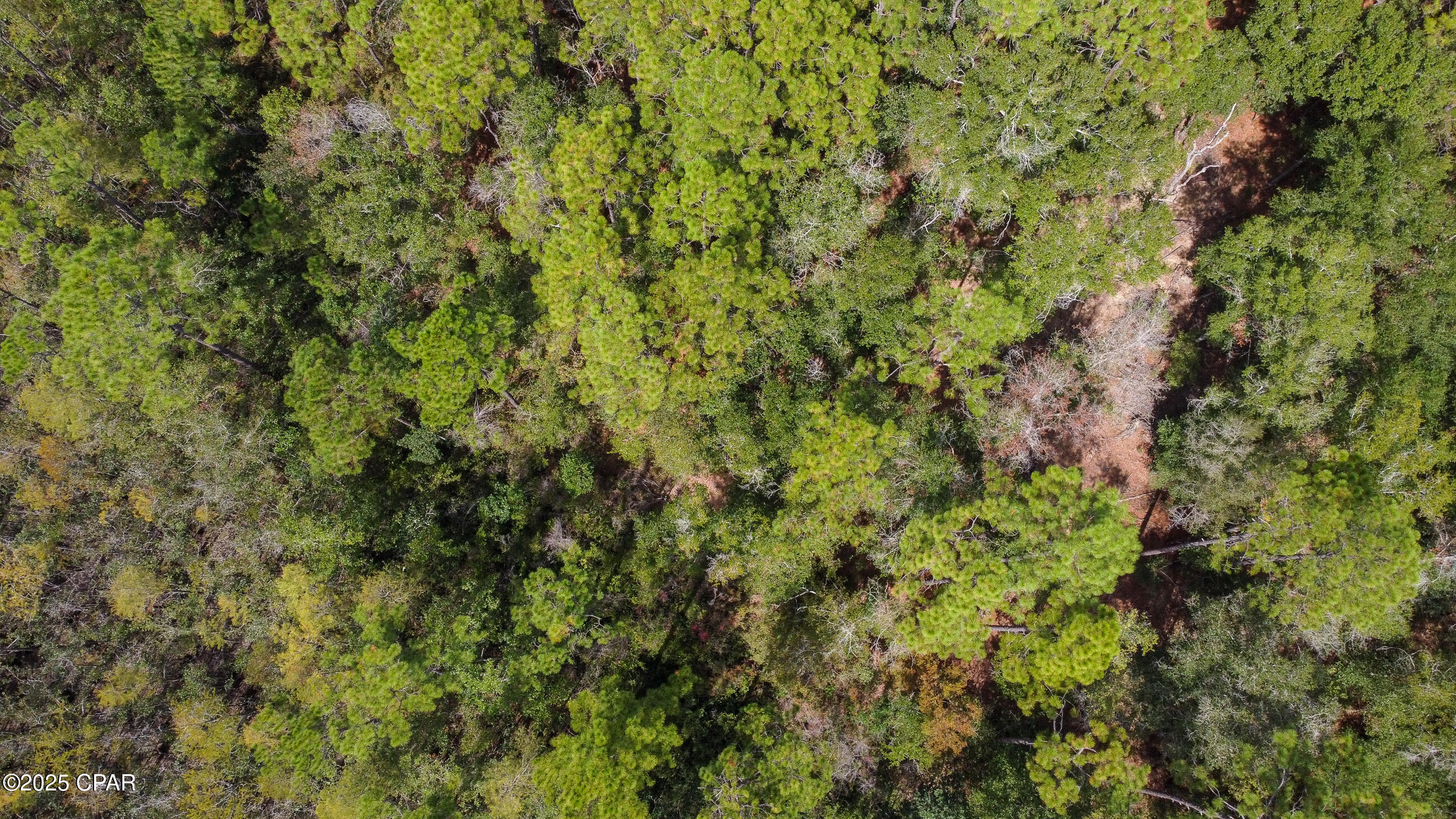 Image 5 For 2724 Muir Lane