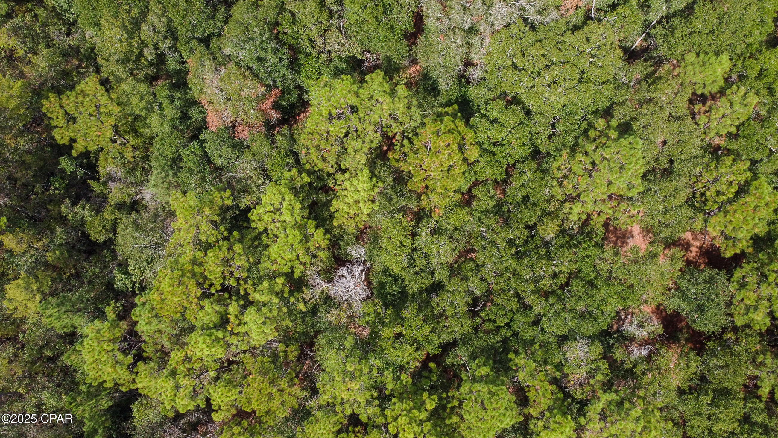 Image 6 For 2724 Muir Lane