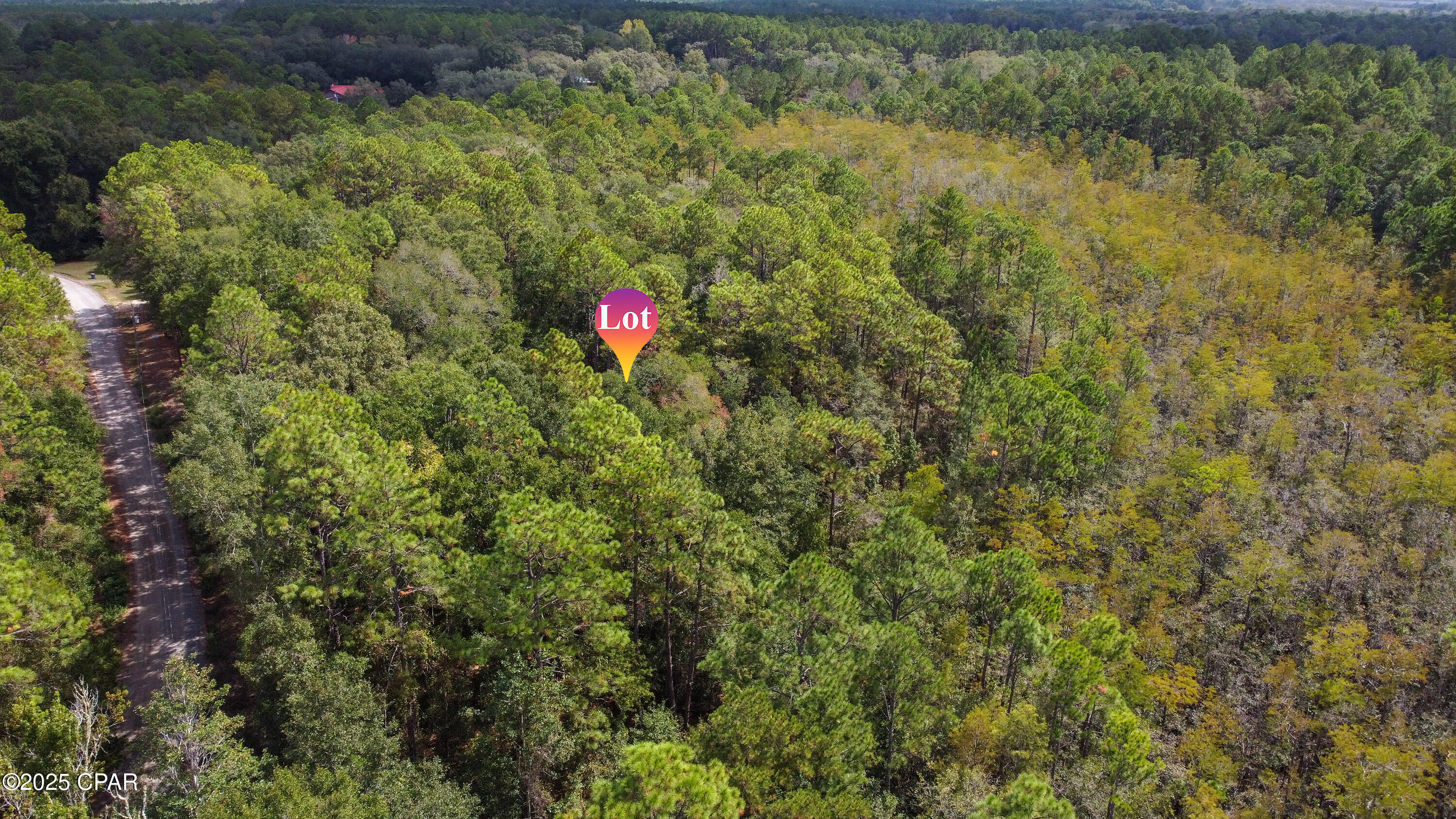 Image 8 For 2724 Muir Lane