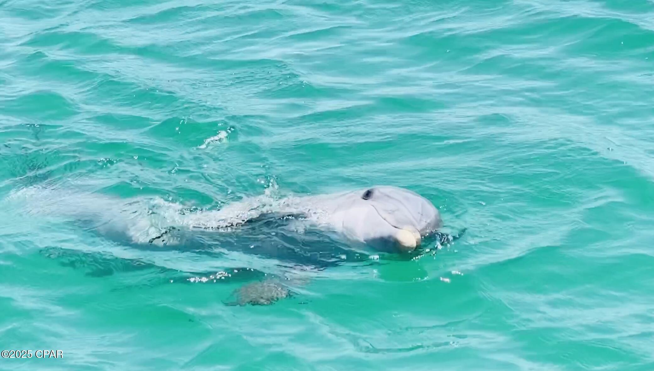 Image 65 For 330 Raven Lane