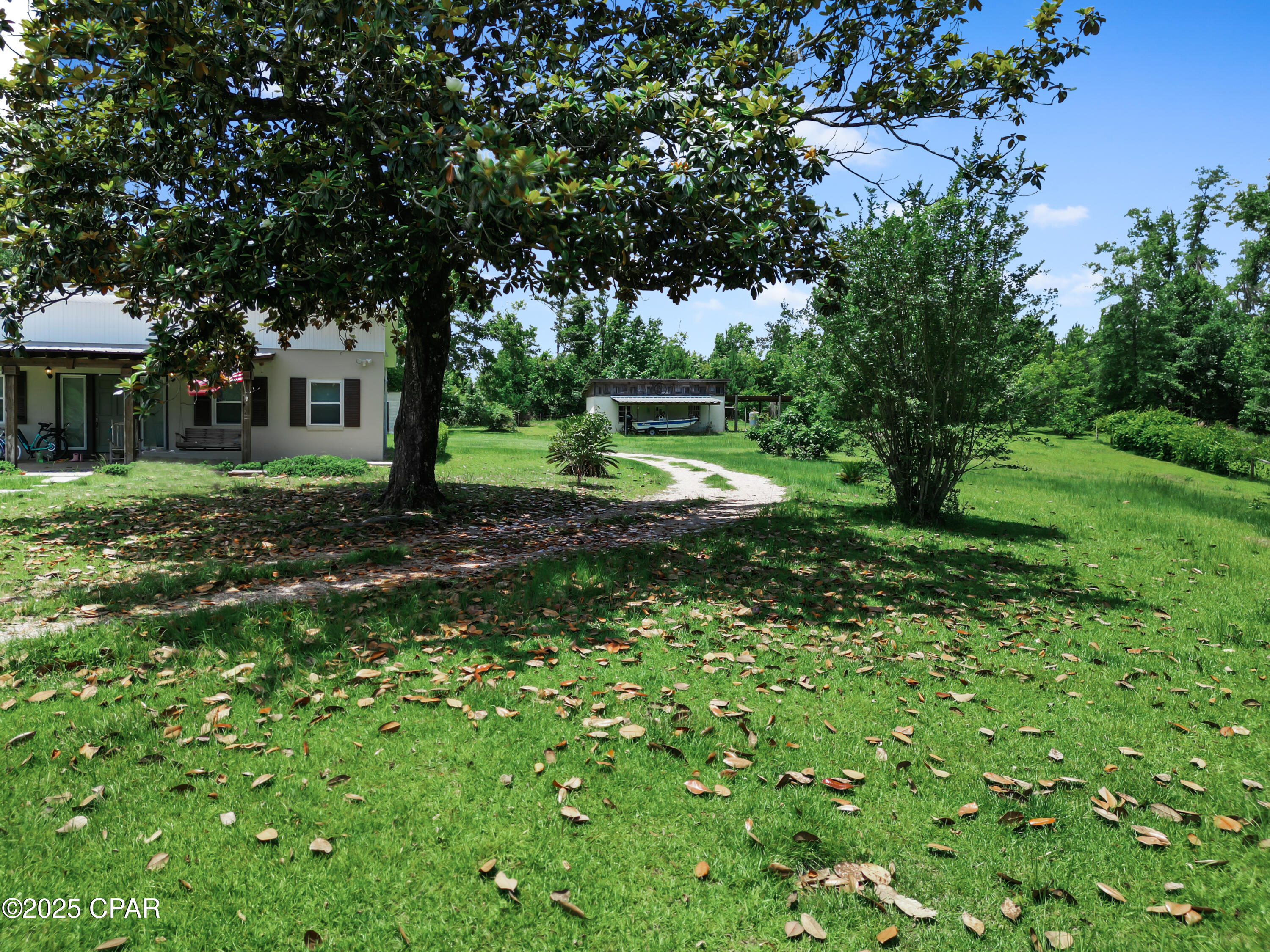 Image 8 For 133 Devane Road