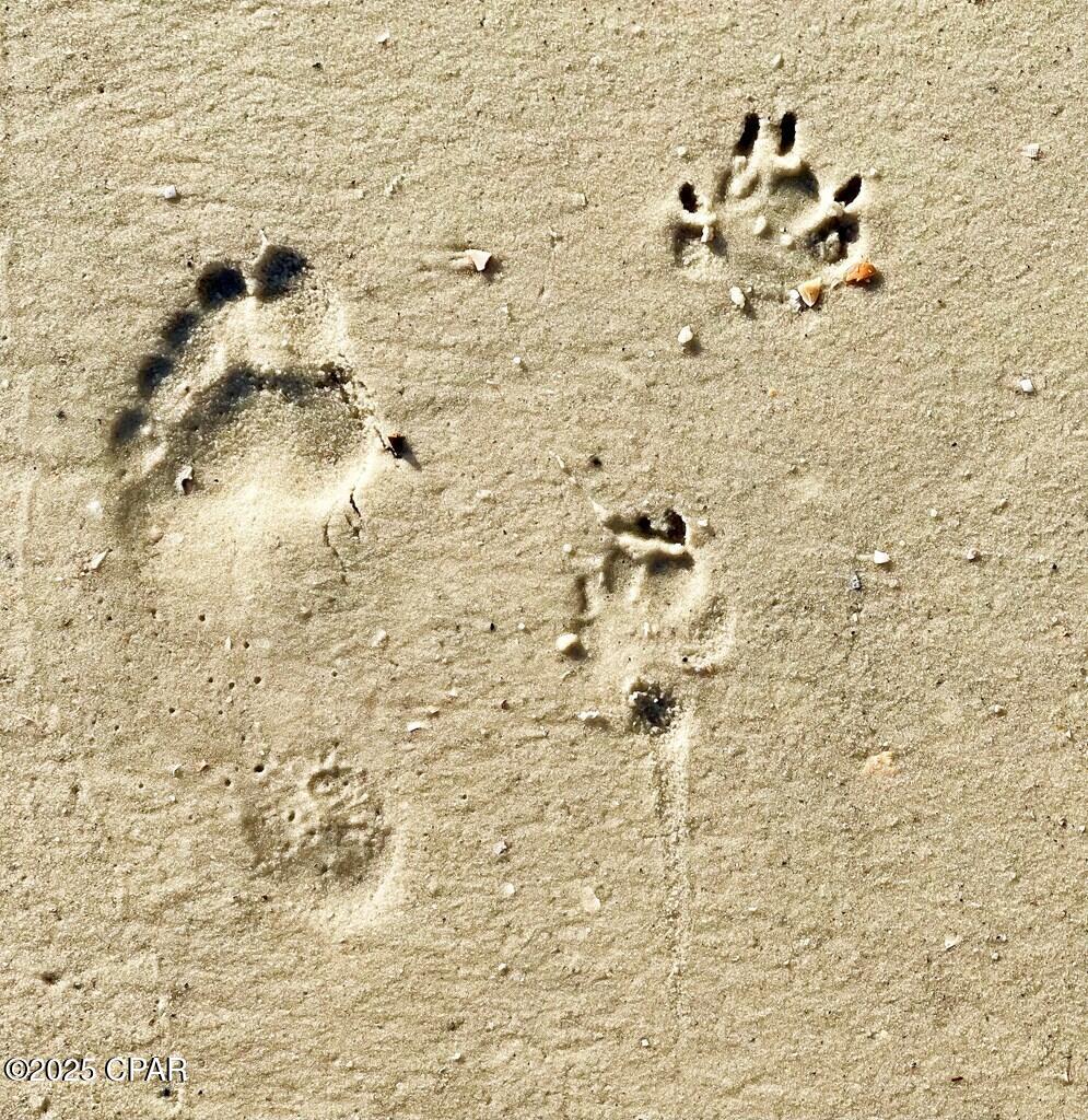 Image 55 For 278 Rhonda Del Sol Circle