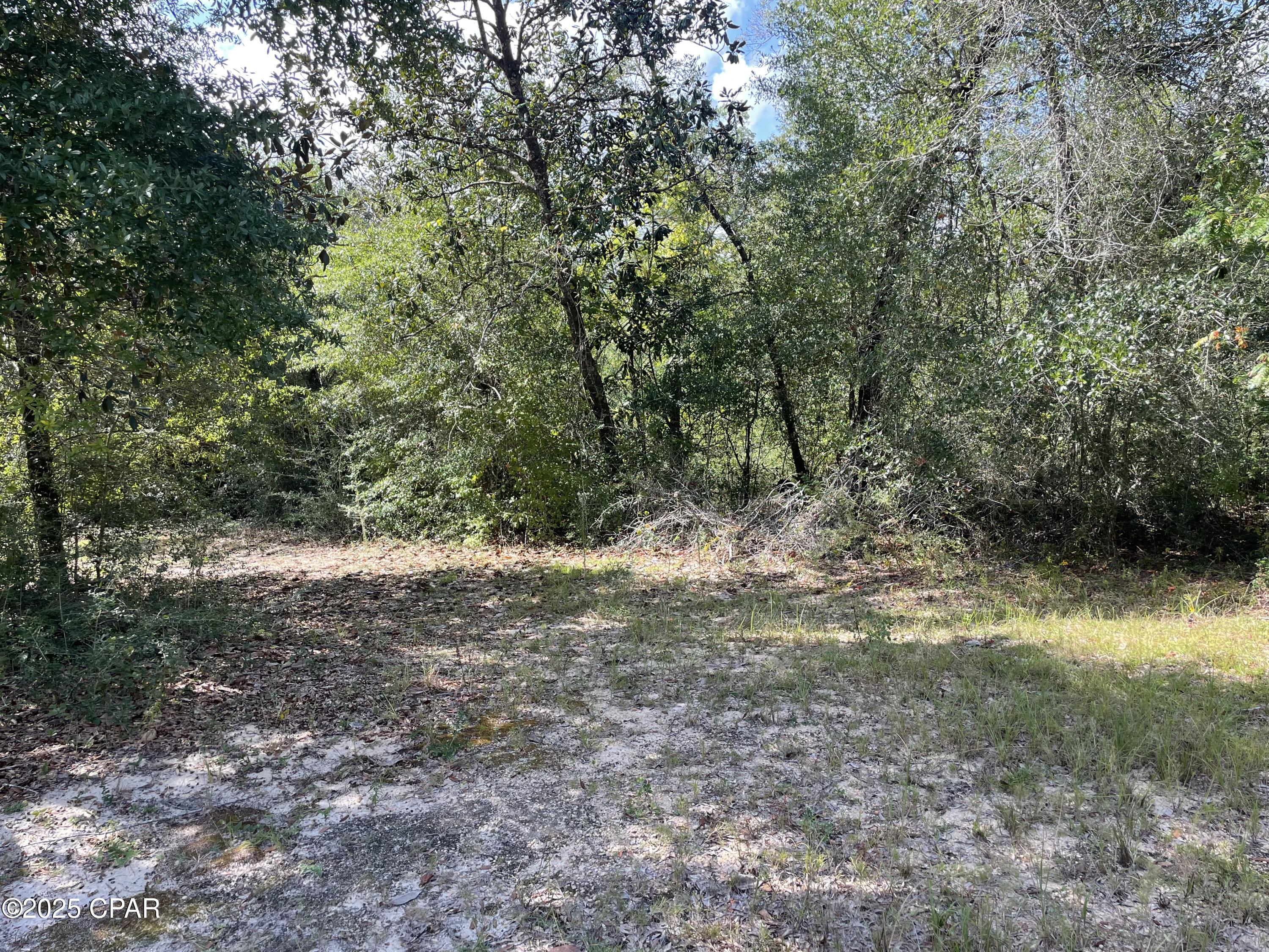 Image 31 For 2355 Momence Court