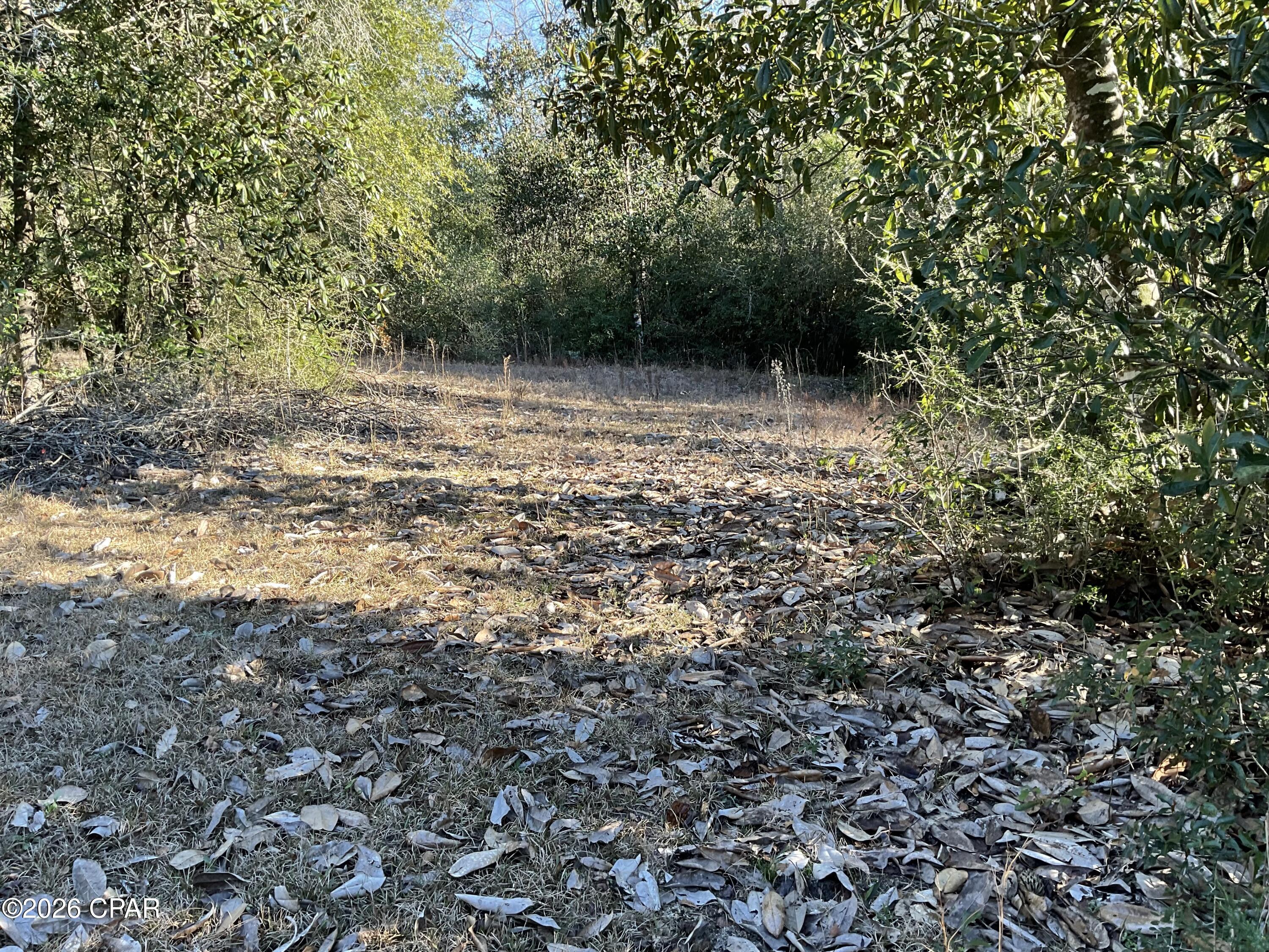 Image 37 For 2355 Momence Court