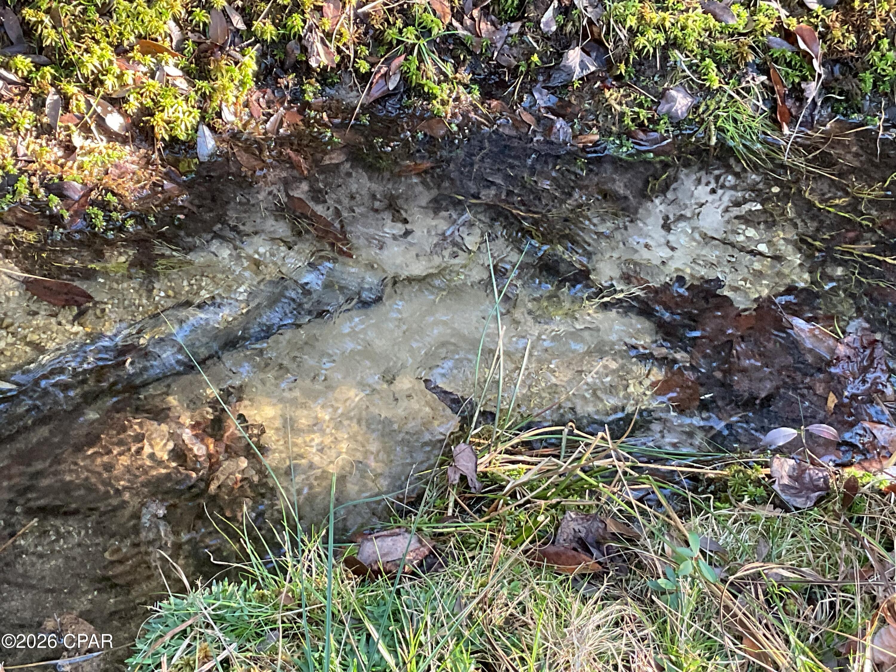 Image 39 For 2355 Momence Court