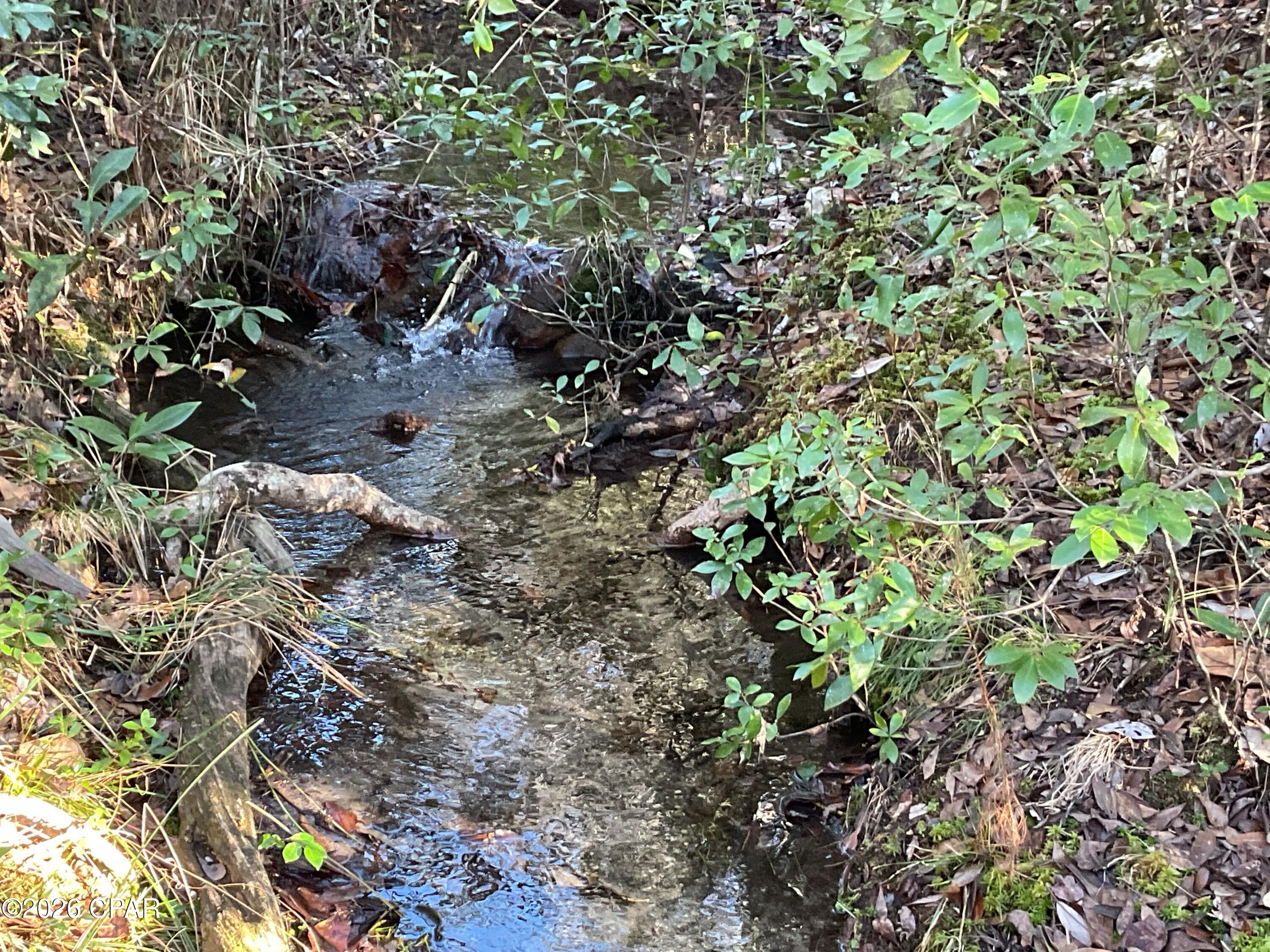 Image 40 For 2355 Momence Court