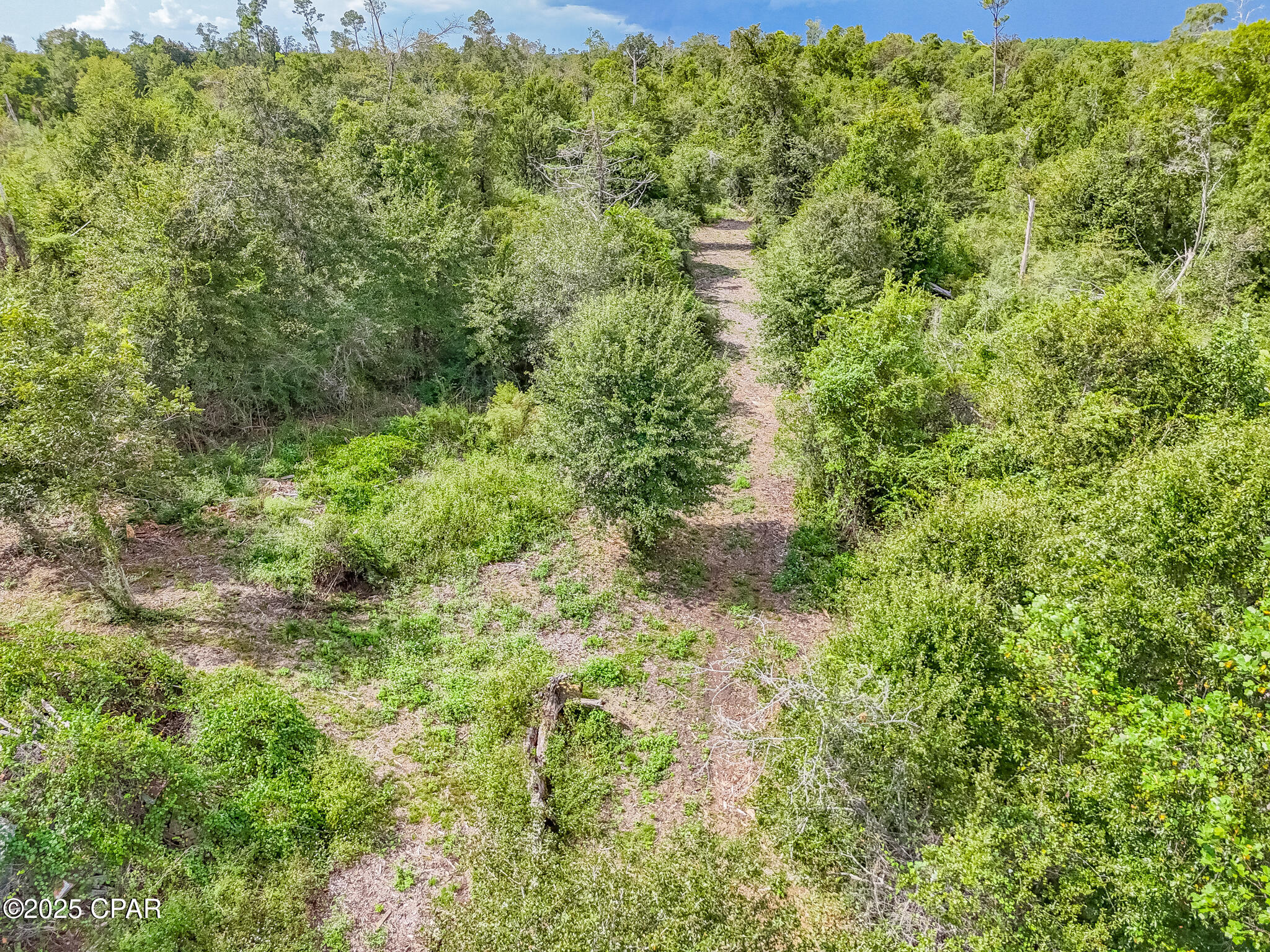 Image 10 For 10215 Campflowers Road