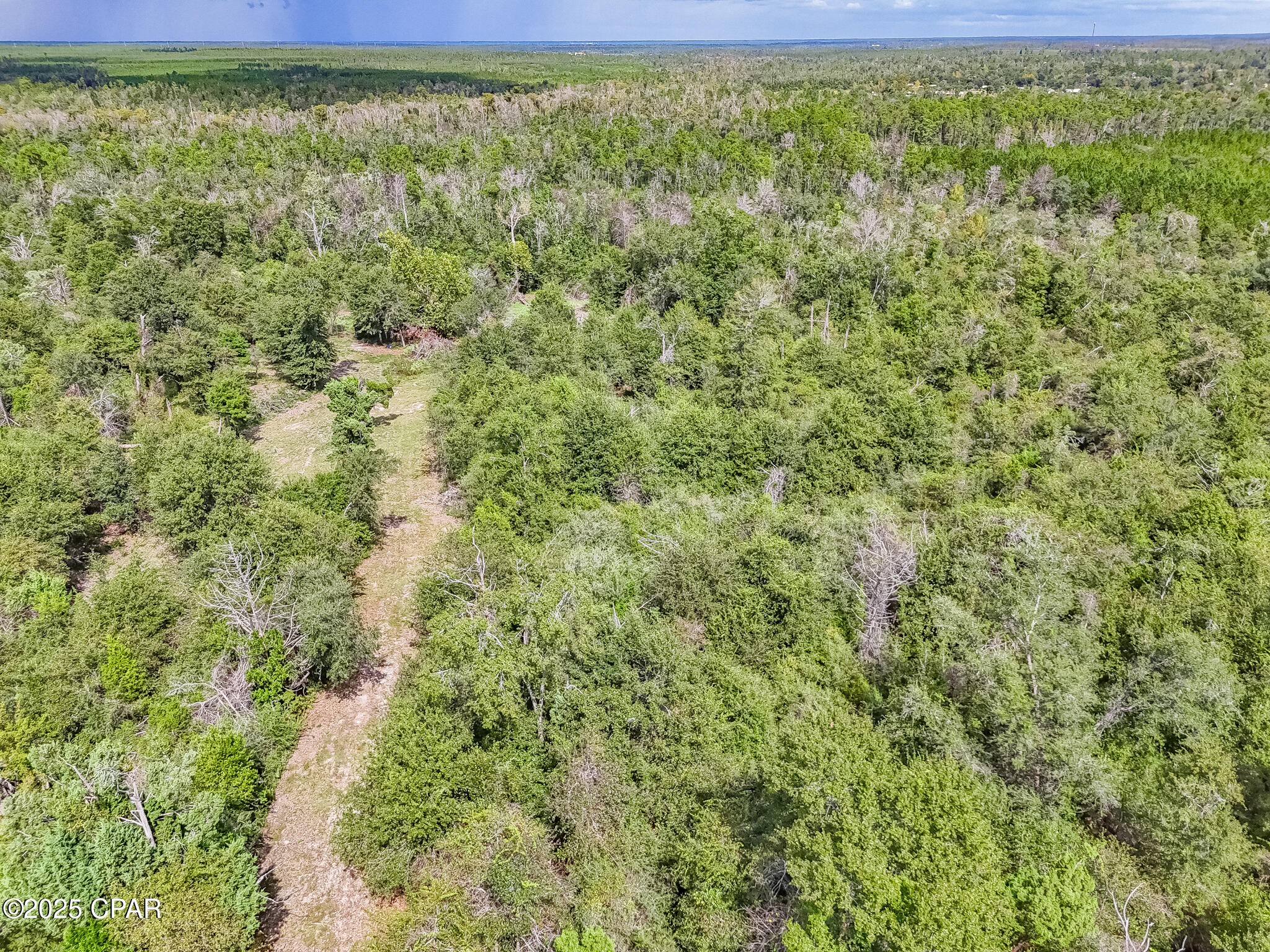 Image 13 For 10215 Campflowers Road