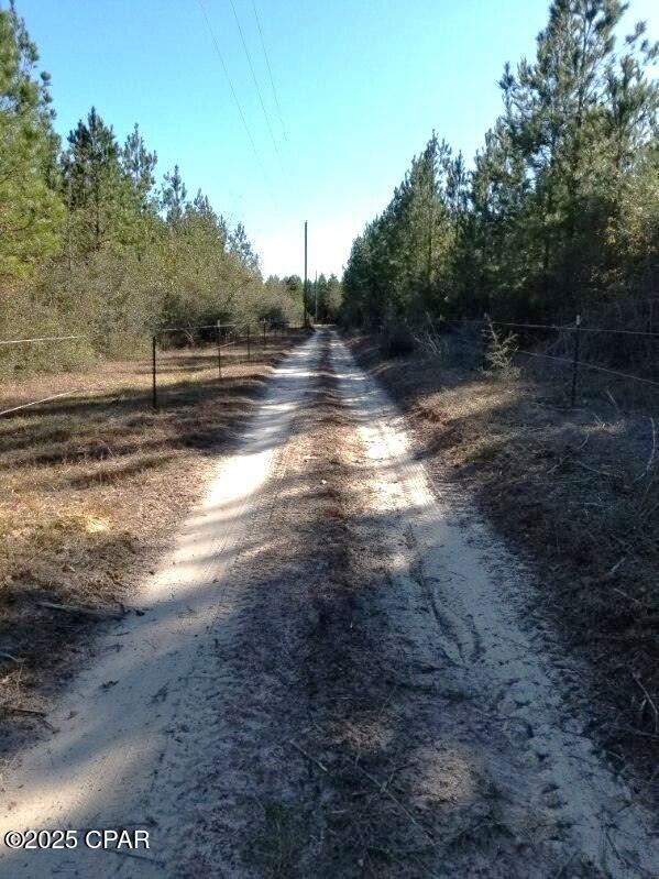 Image 15 For 10215 Campflowers Road