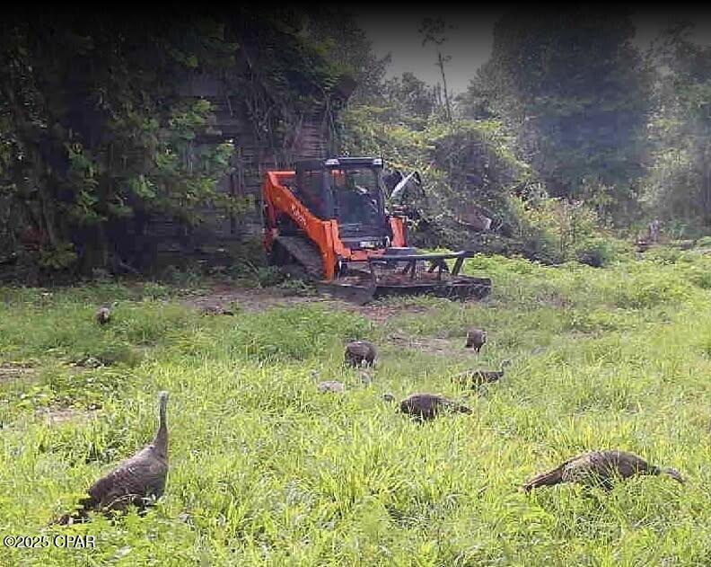 Image 17 For 10215 Campflowers Road