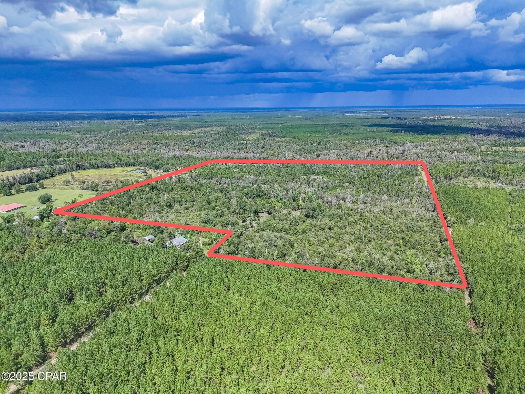 Image 2 For 10215 Campflowers Road