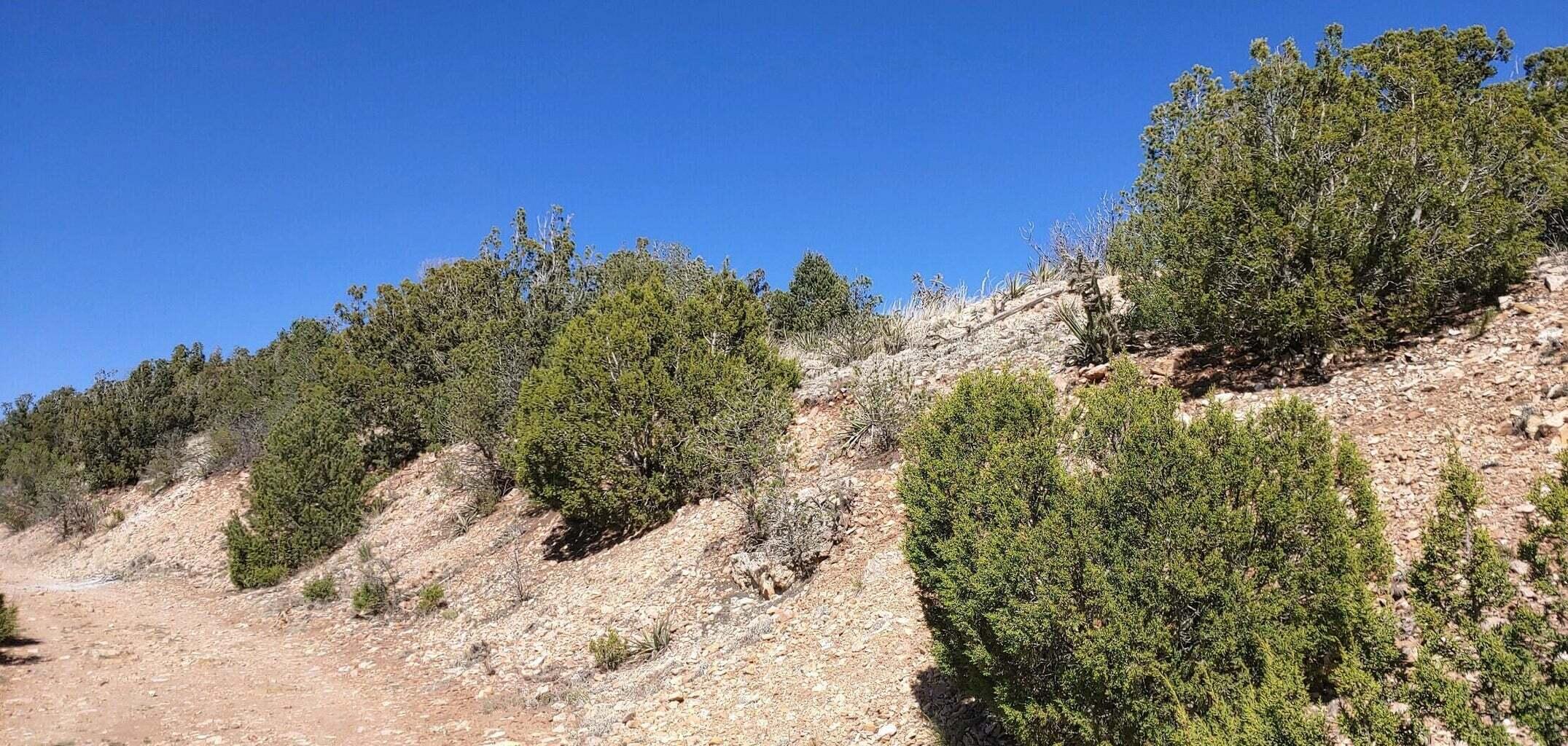 Homes for sale in Sandia Park, NM | Kelly Lynn Dr, Sandia Park, NM 87047 | MLS# 1092746