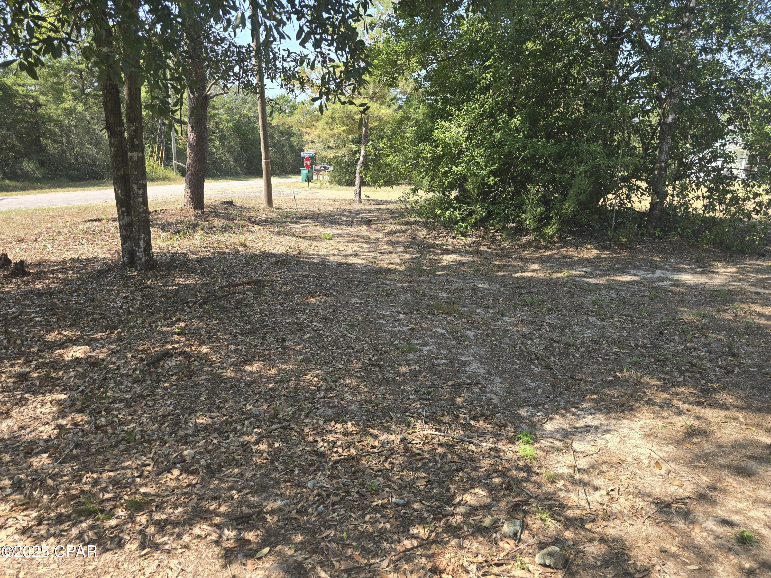 Image 6 For 394 Majestic Boulevard