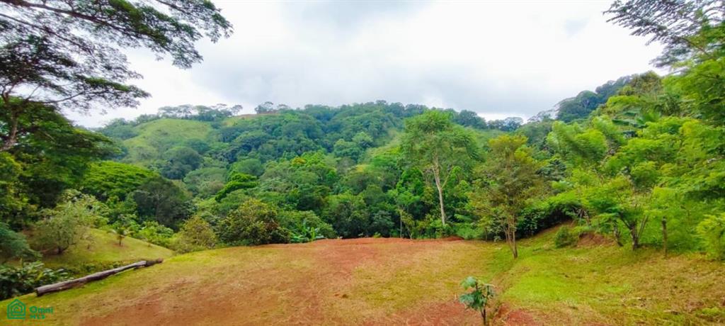 0 bed Land For Sale in Turrubares, San Jose - 1