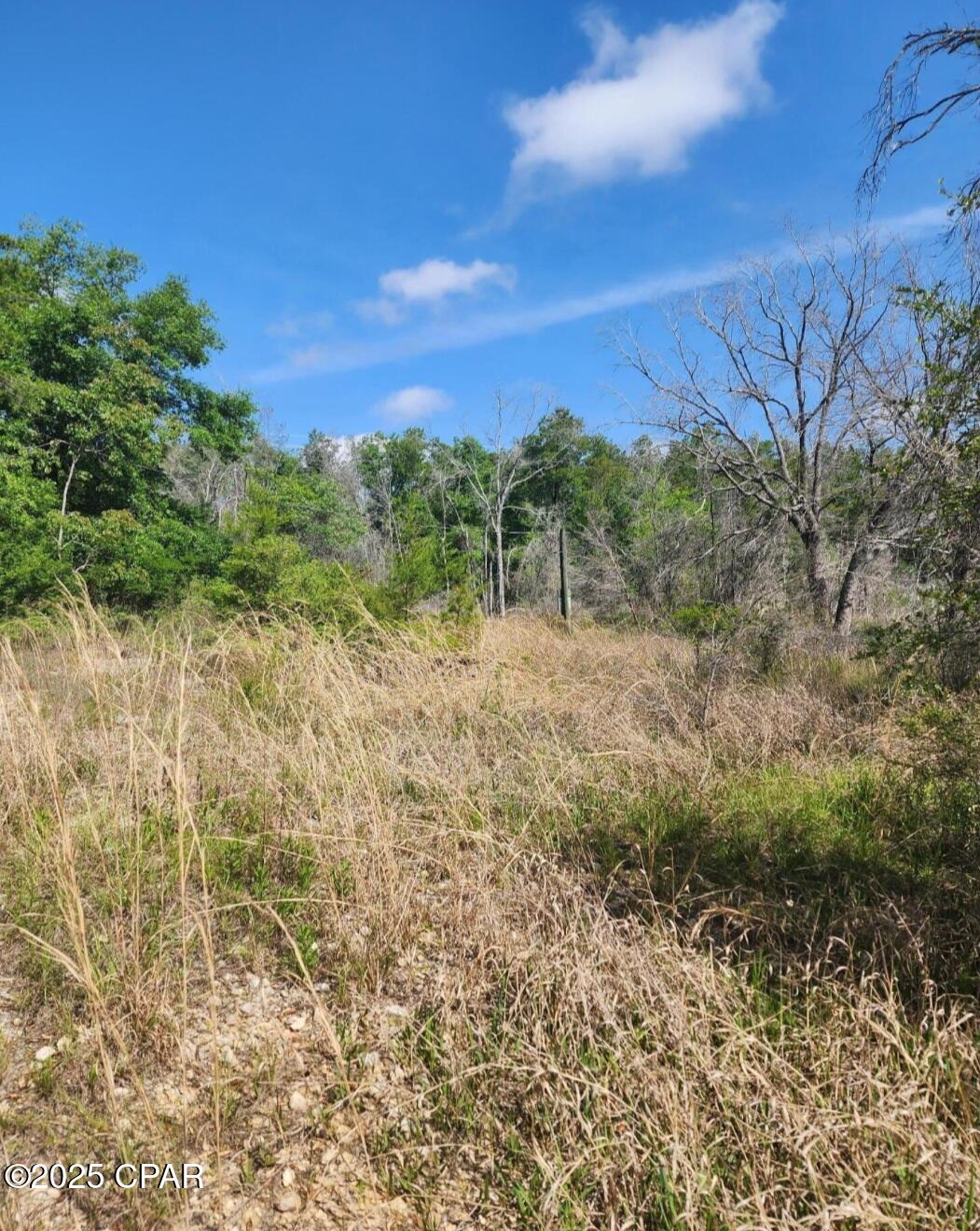 Image 11 For 6405 Highway 77