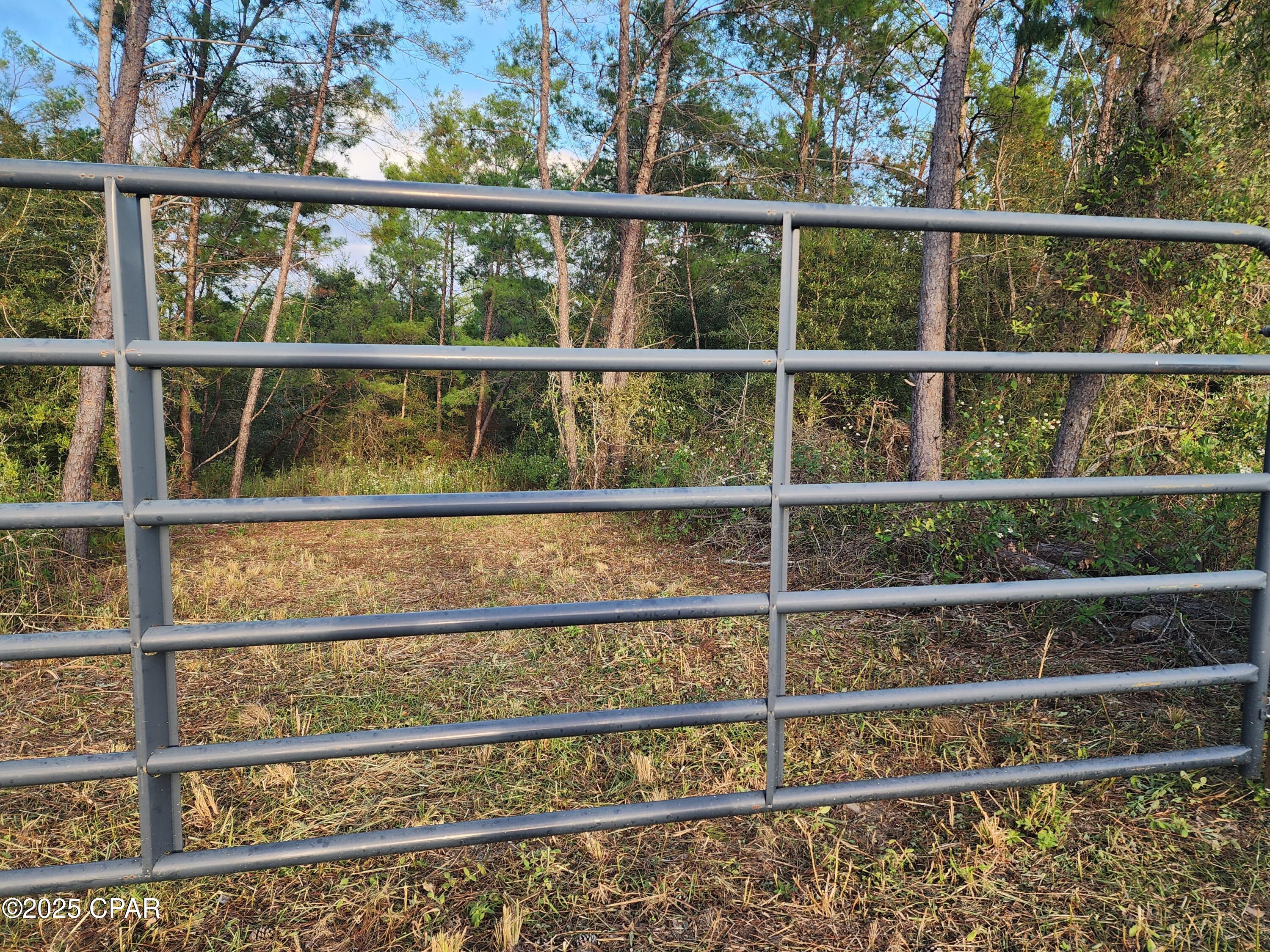 Image 14 For 6405 Highway 77