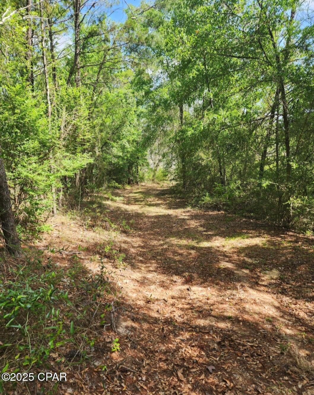 Image 7 For 6405 Highway 77