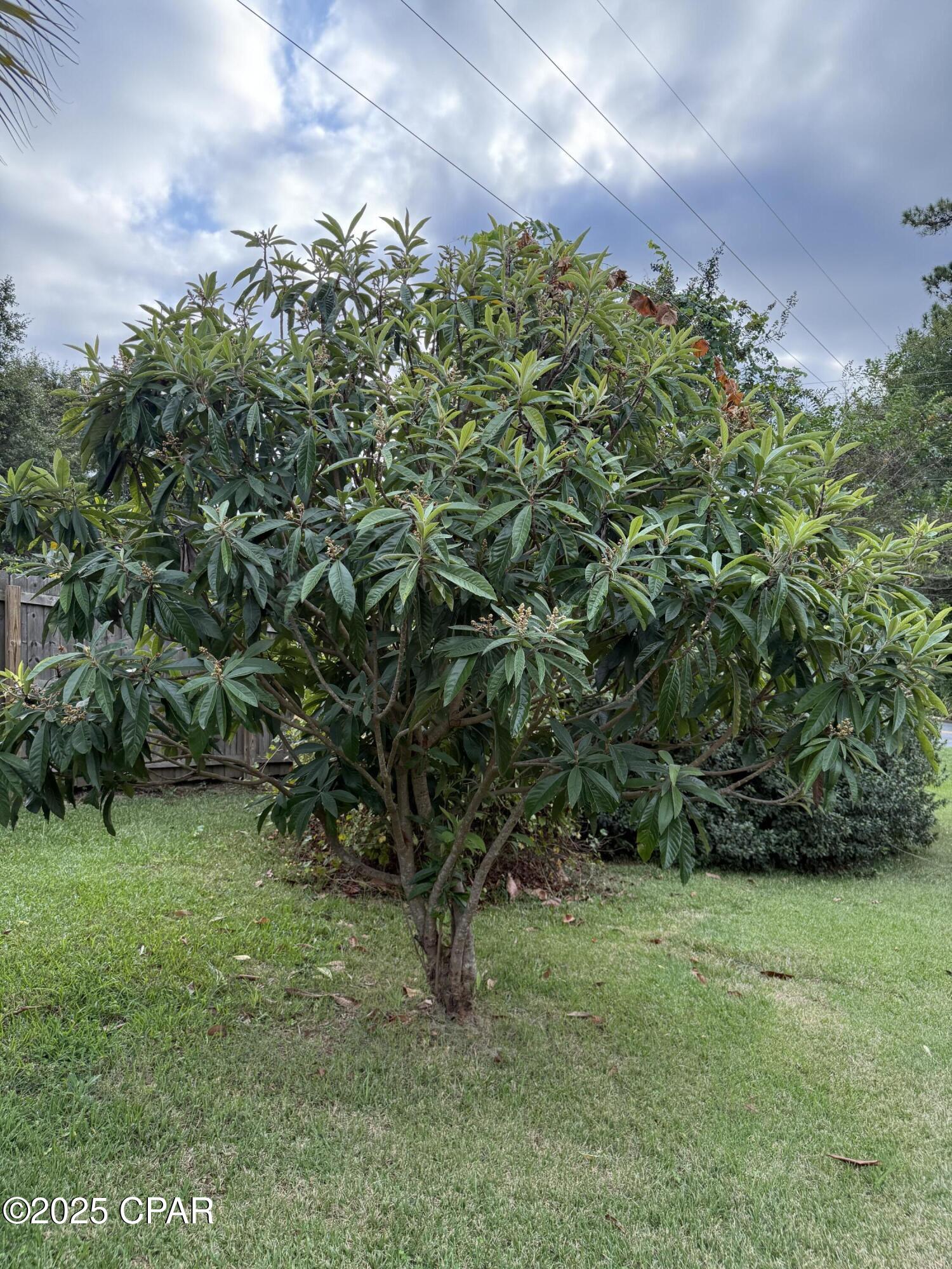 Image 45 For 4291 6th Avenue