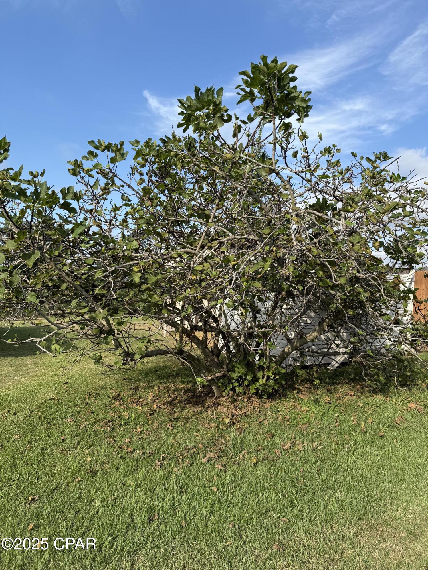 Image 46 For 4291 6th Avenue