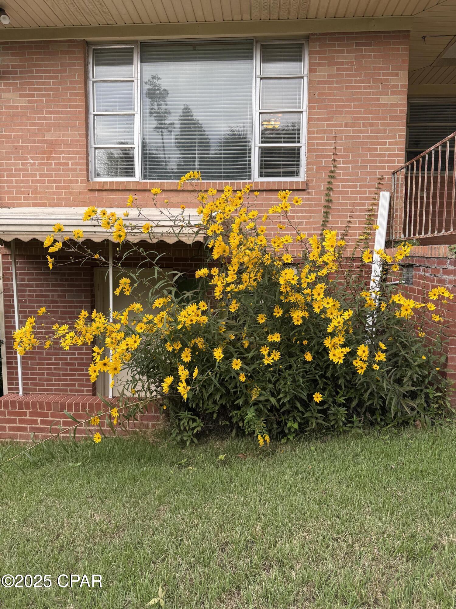 Image 47 For 4291 6th Avenue