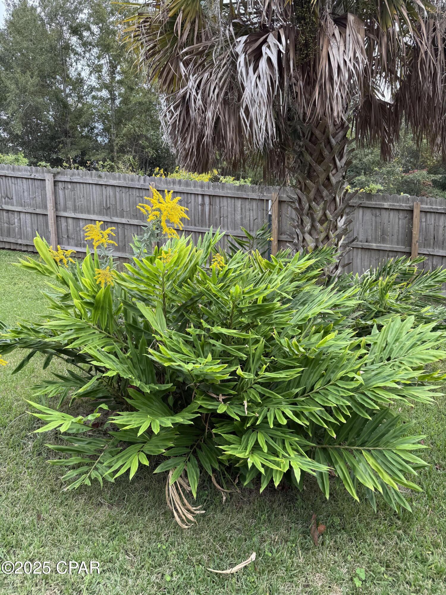 Image 48 For 4291 6th Avenue