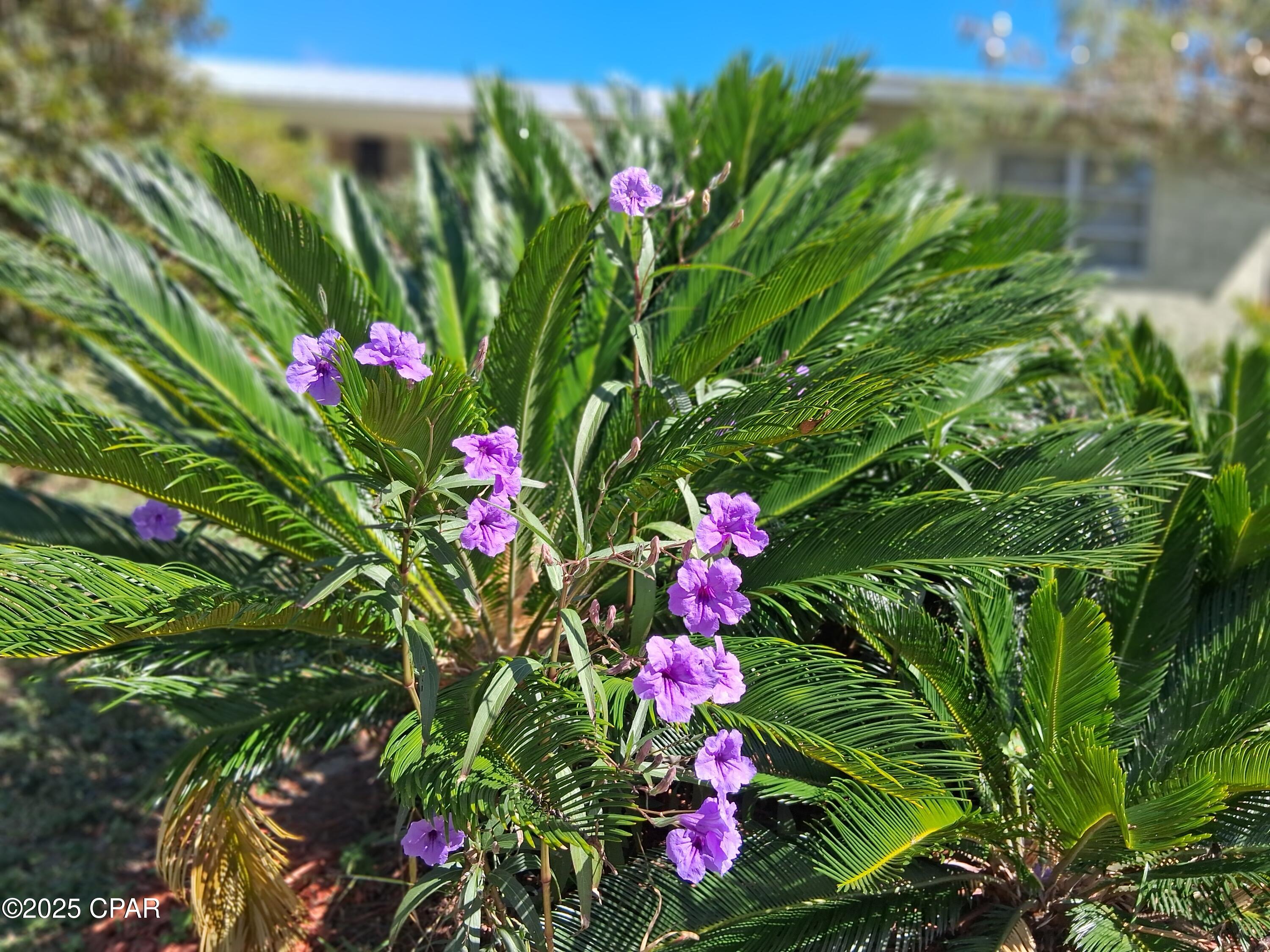 Image 23 For 2056 Sunny Hills Boulevard