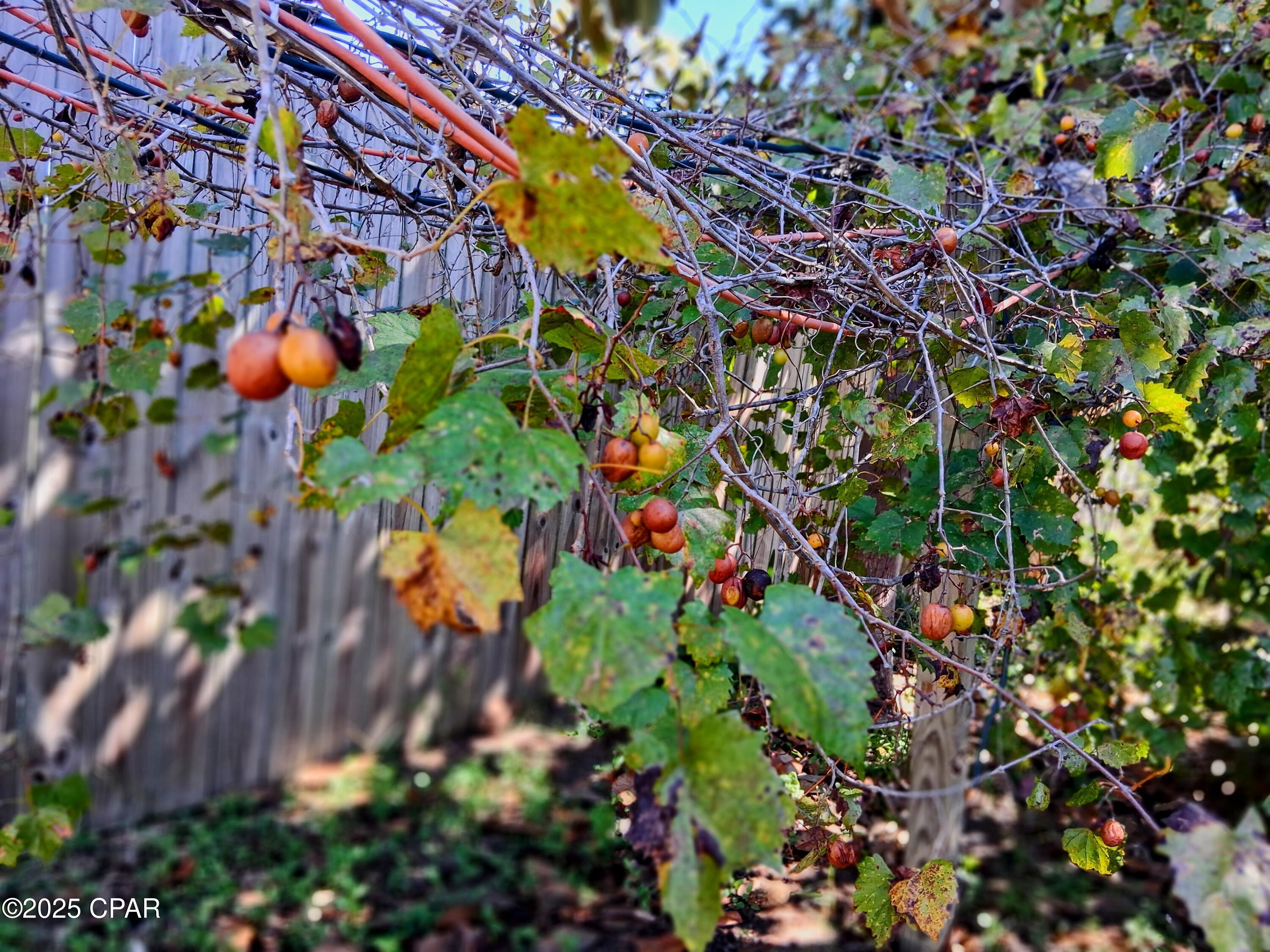 Image 25 For 2056 Sunny Hills Boulevard