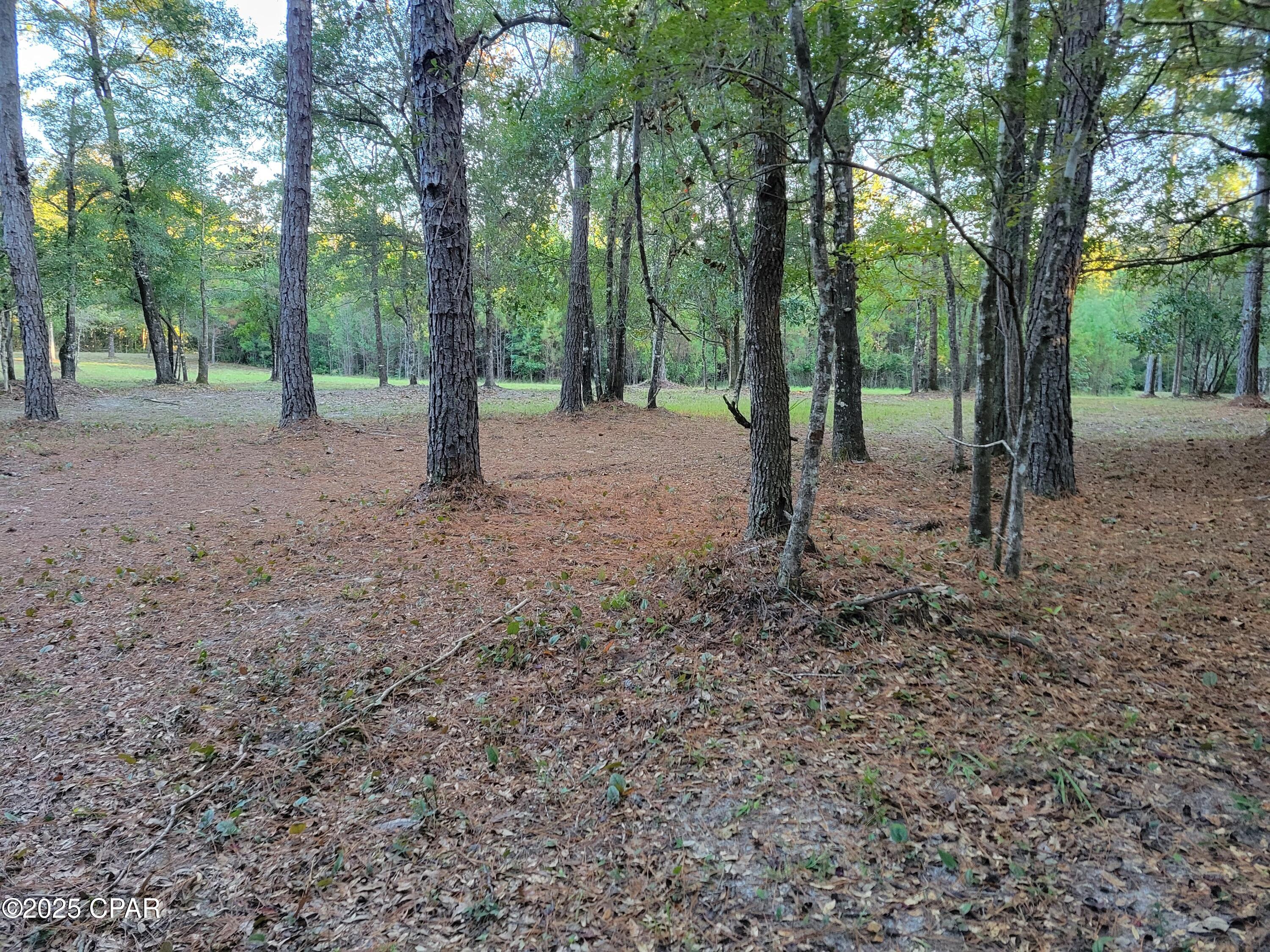 Details for 0000 Hardwood Lane, Ponce De Leon, FL 32455