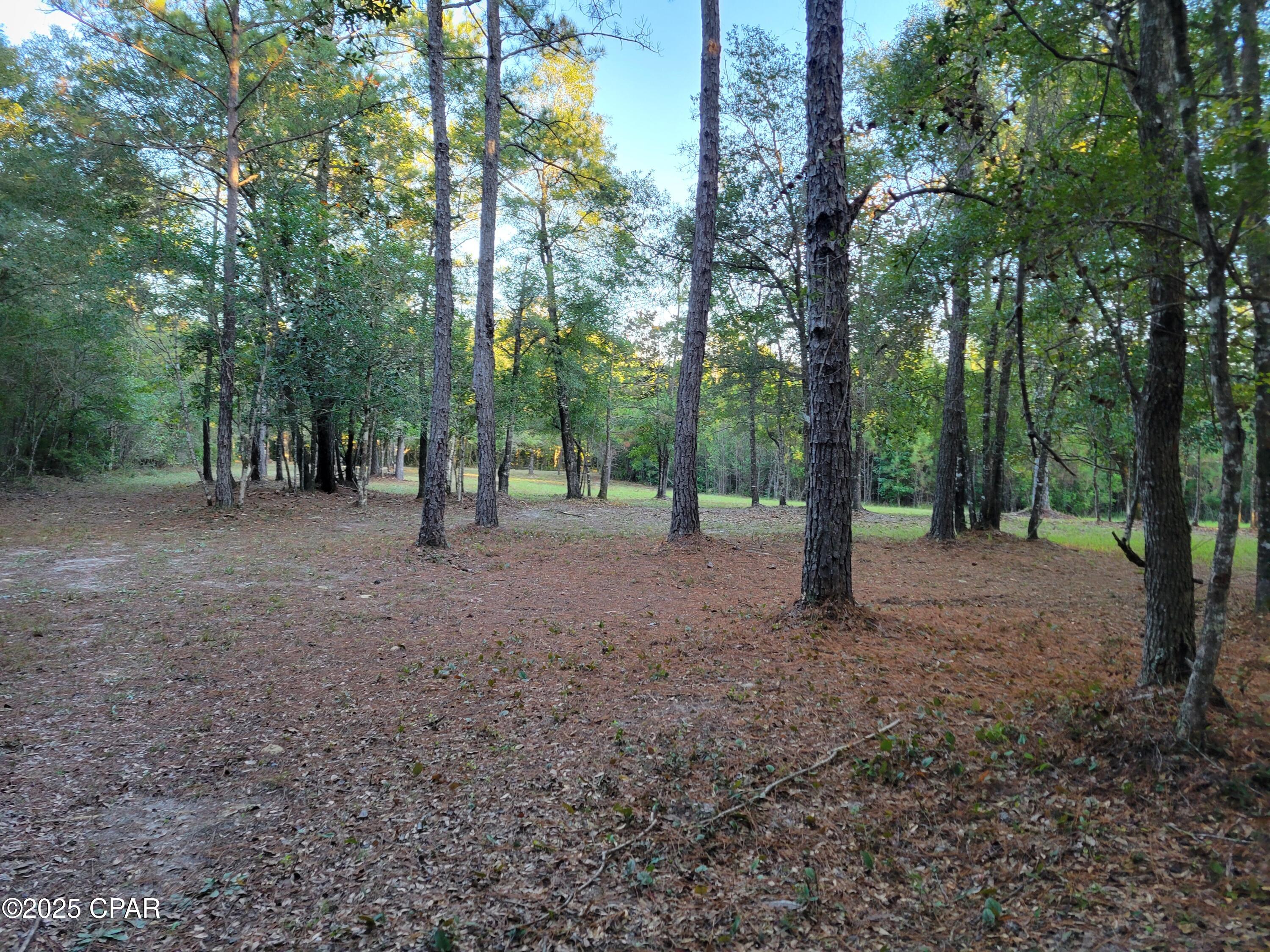 Homes for sale in Ponce De Leon, FL | 0000 Hardwood Ln, Ponce De Leon, FL 32455 | MLS# 780316