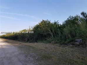 Miami Land & Dev Cos Sub