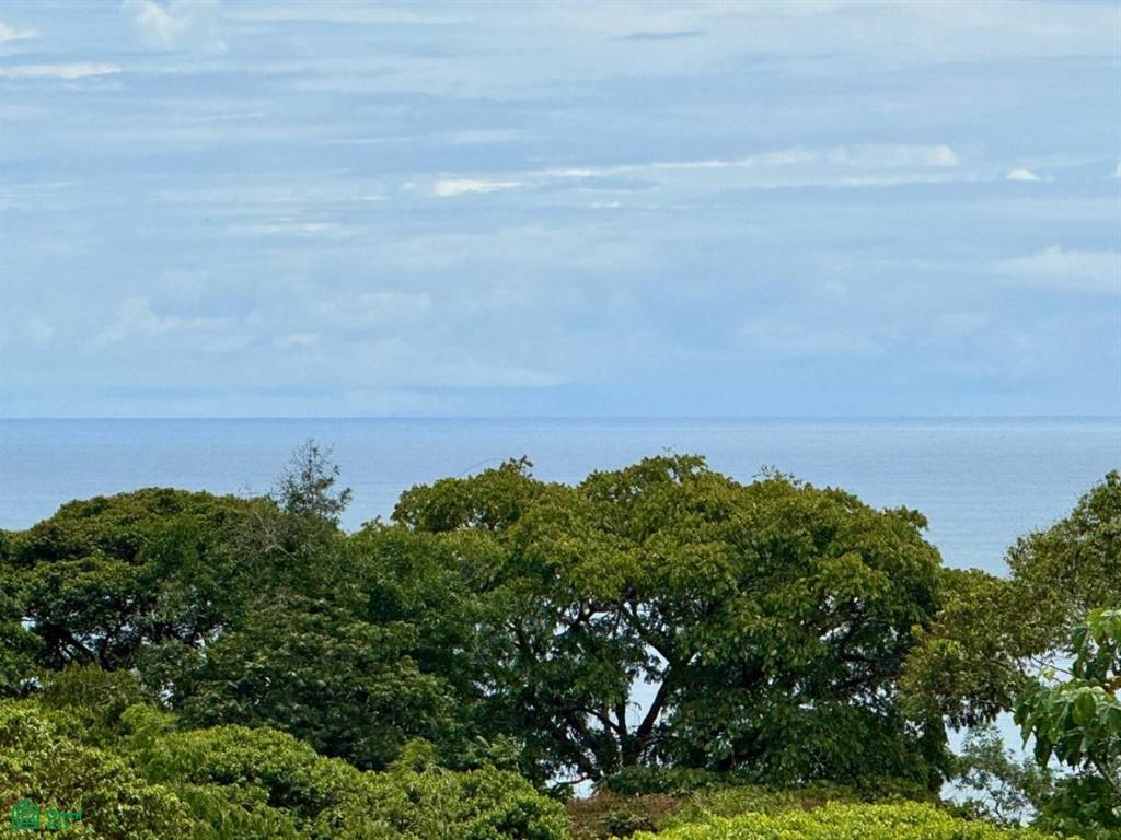 0 bed Land For Sale in Osa, Puntarenas - 1