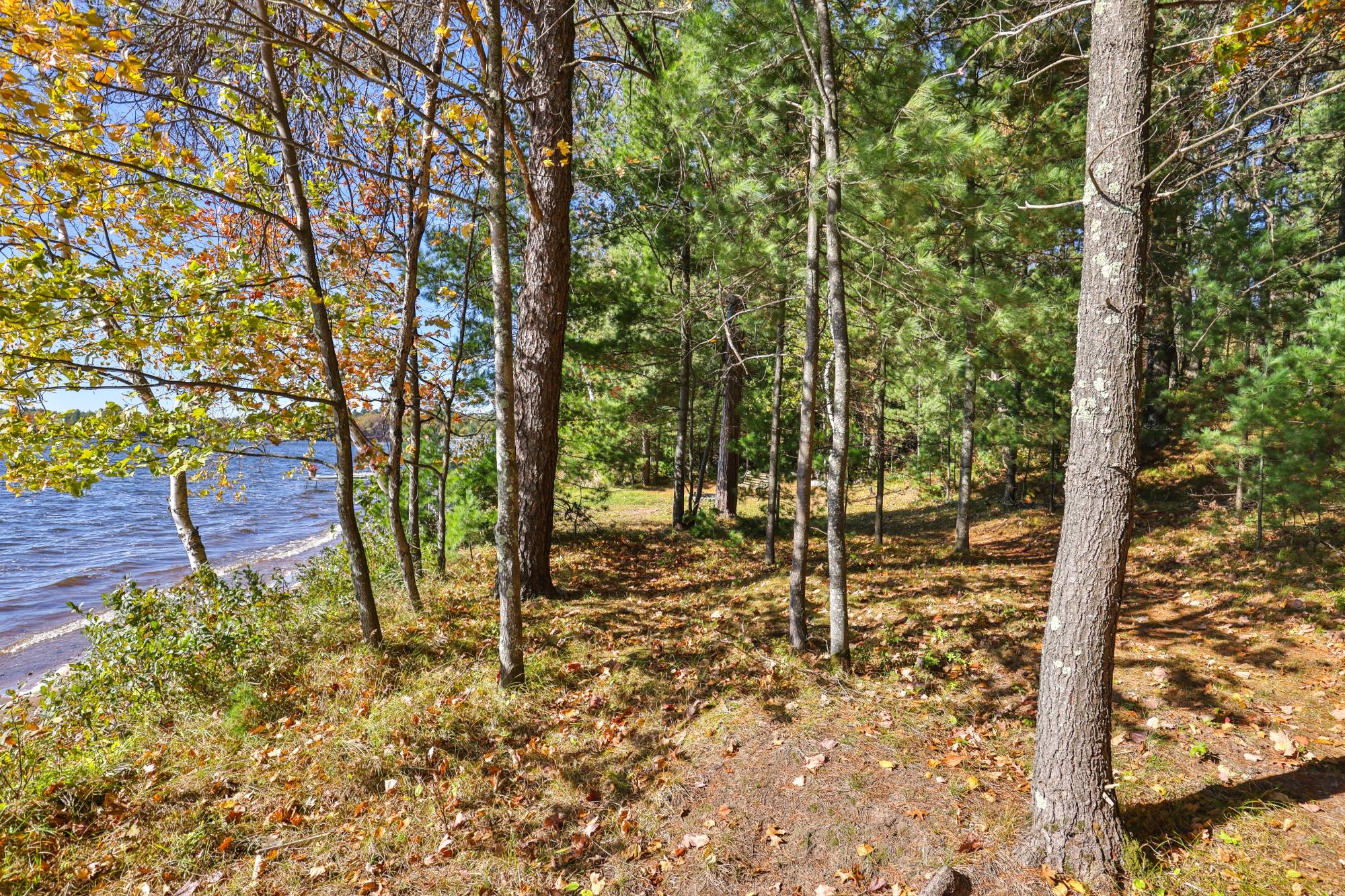 Island Lake Property Lot on Fallon Rd Photo 9