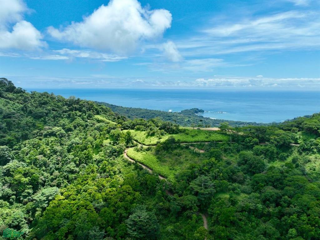 0 bed Land For Sale in Perez Zeledon, San Jose - 1