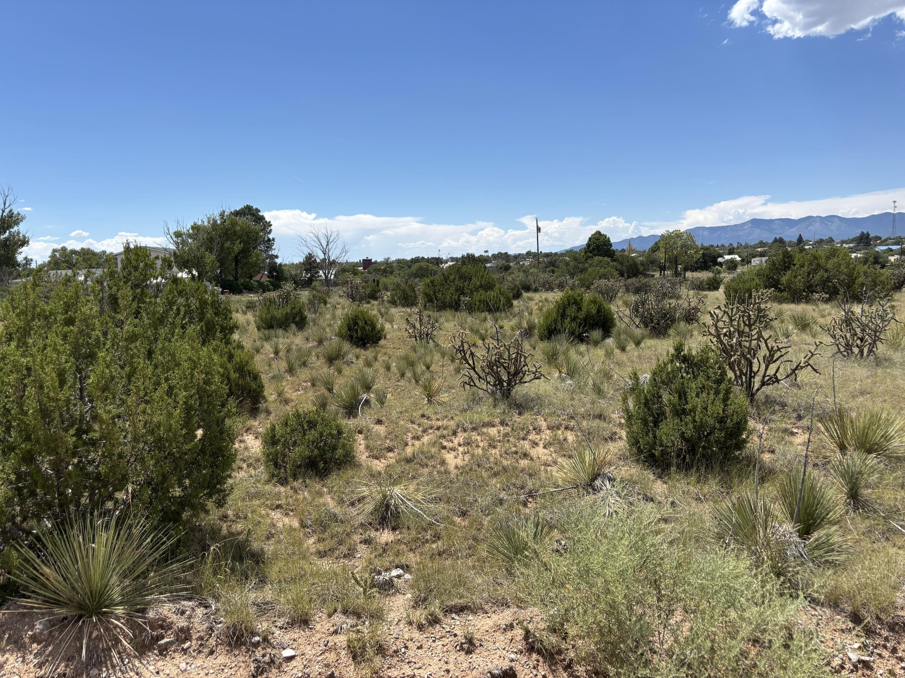 Homes for sale in Mountainair, NM | 3 Monte Alto Ave, Mountainair, NM 87036 | MLS# 1092897